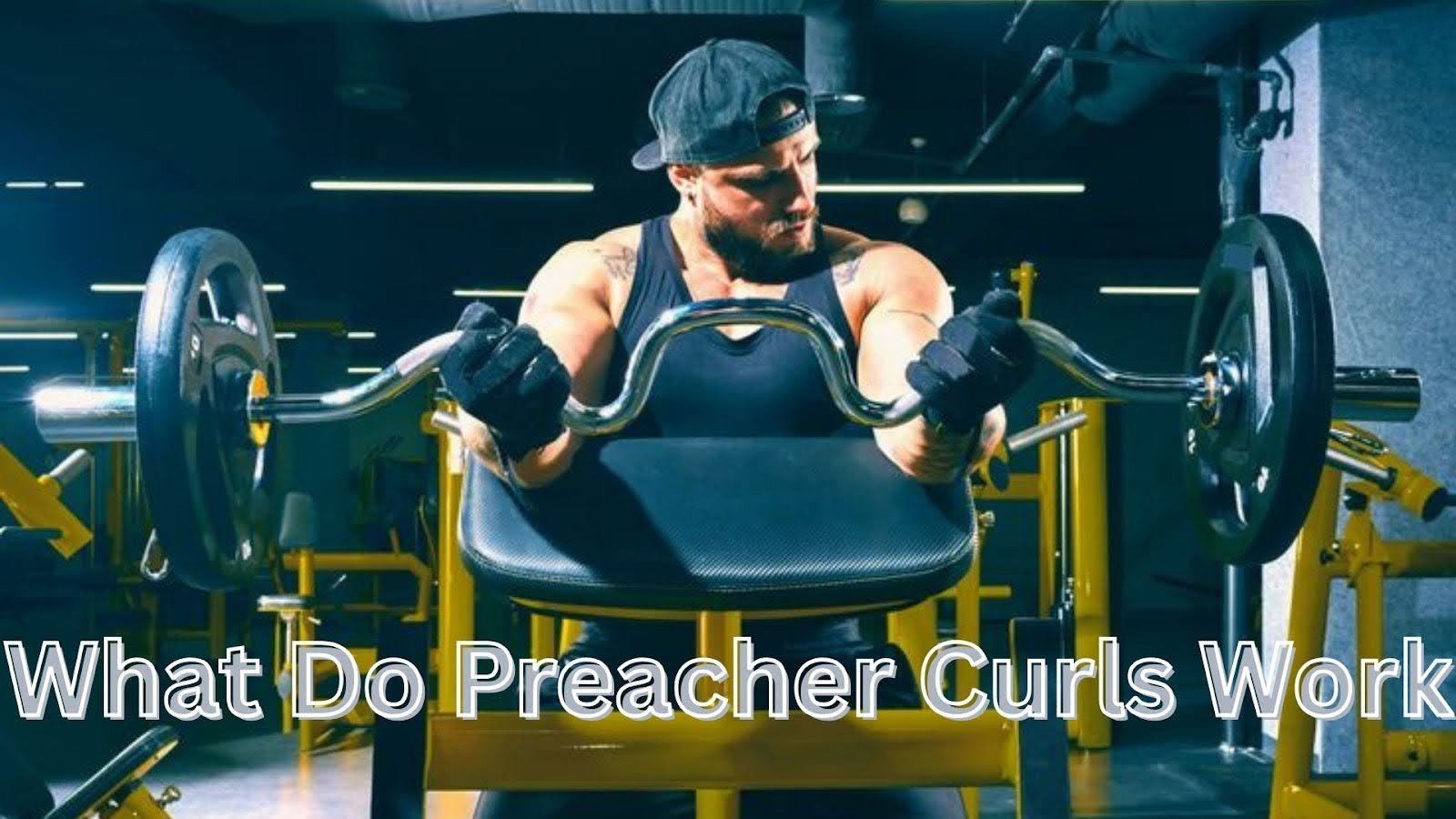 What Do Preacher Curls Work? Full Muscle Breakdown