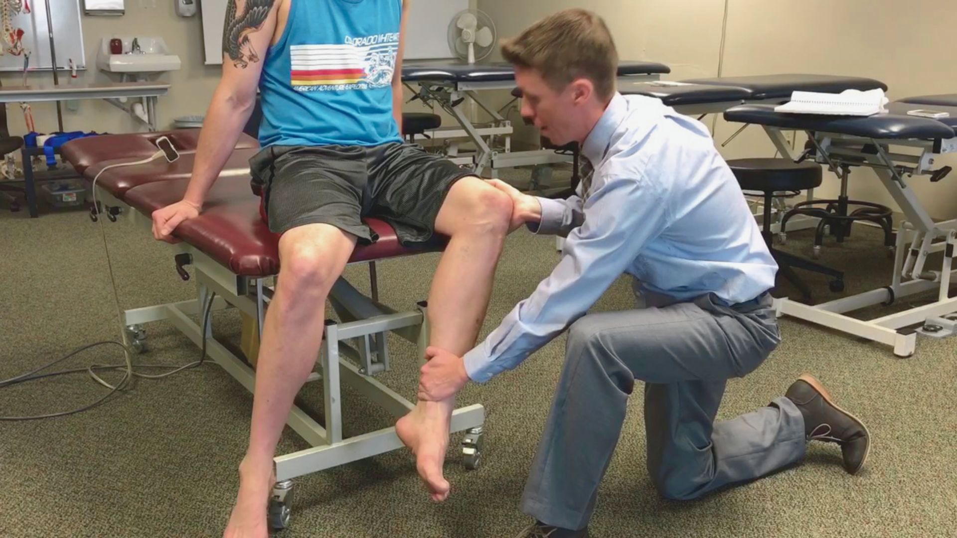 Primary Internal Rotators of the Hip