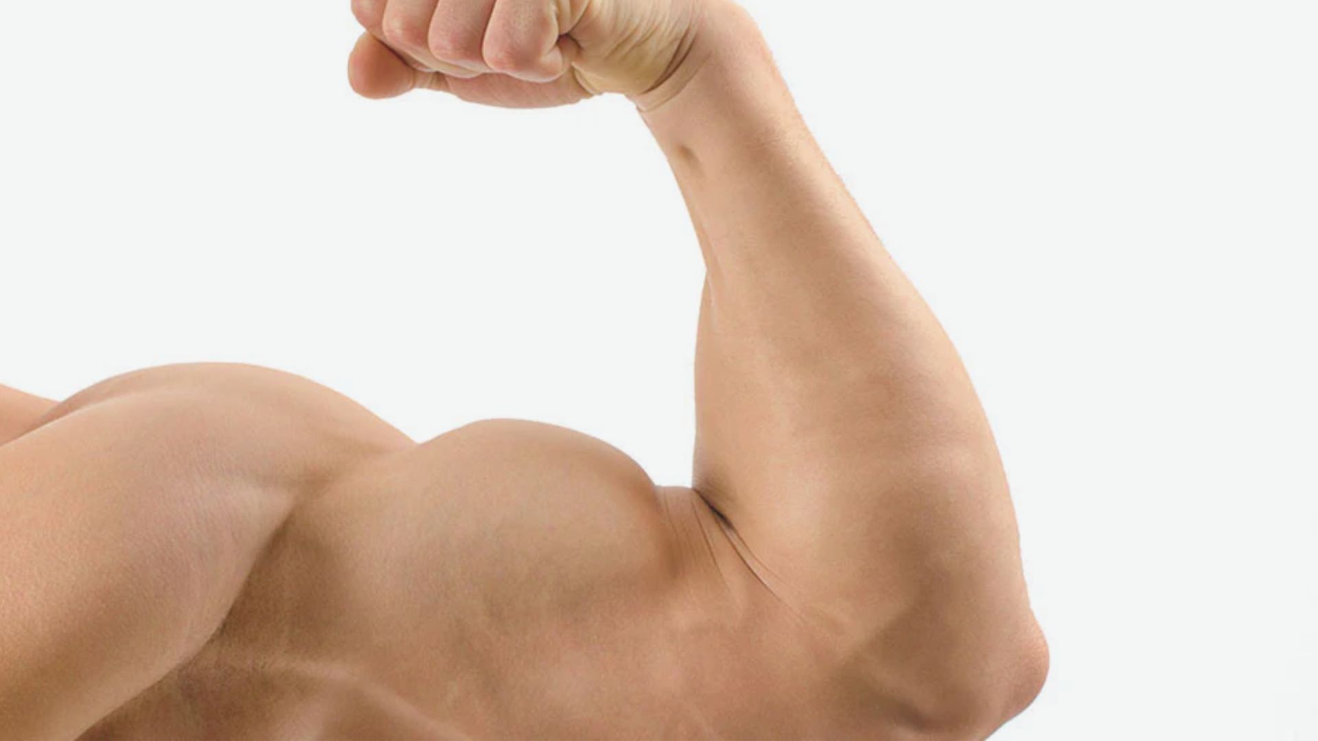 Overview of the Biceps Muscle