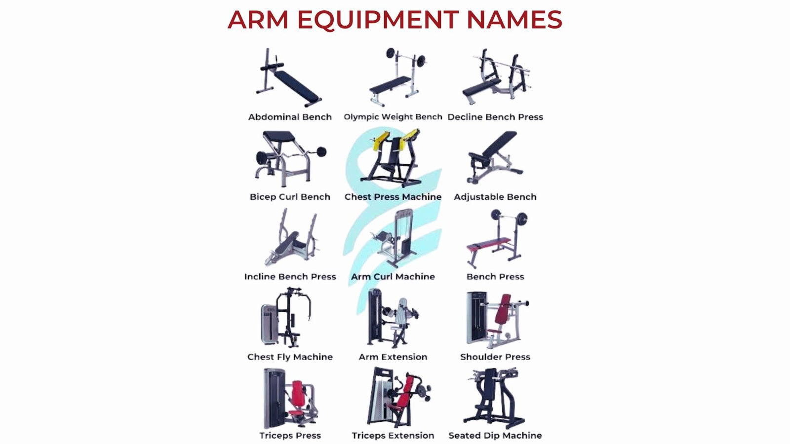 Arm Machines at The Gym