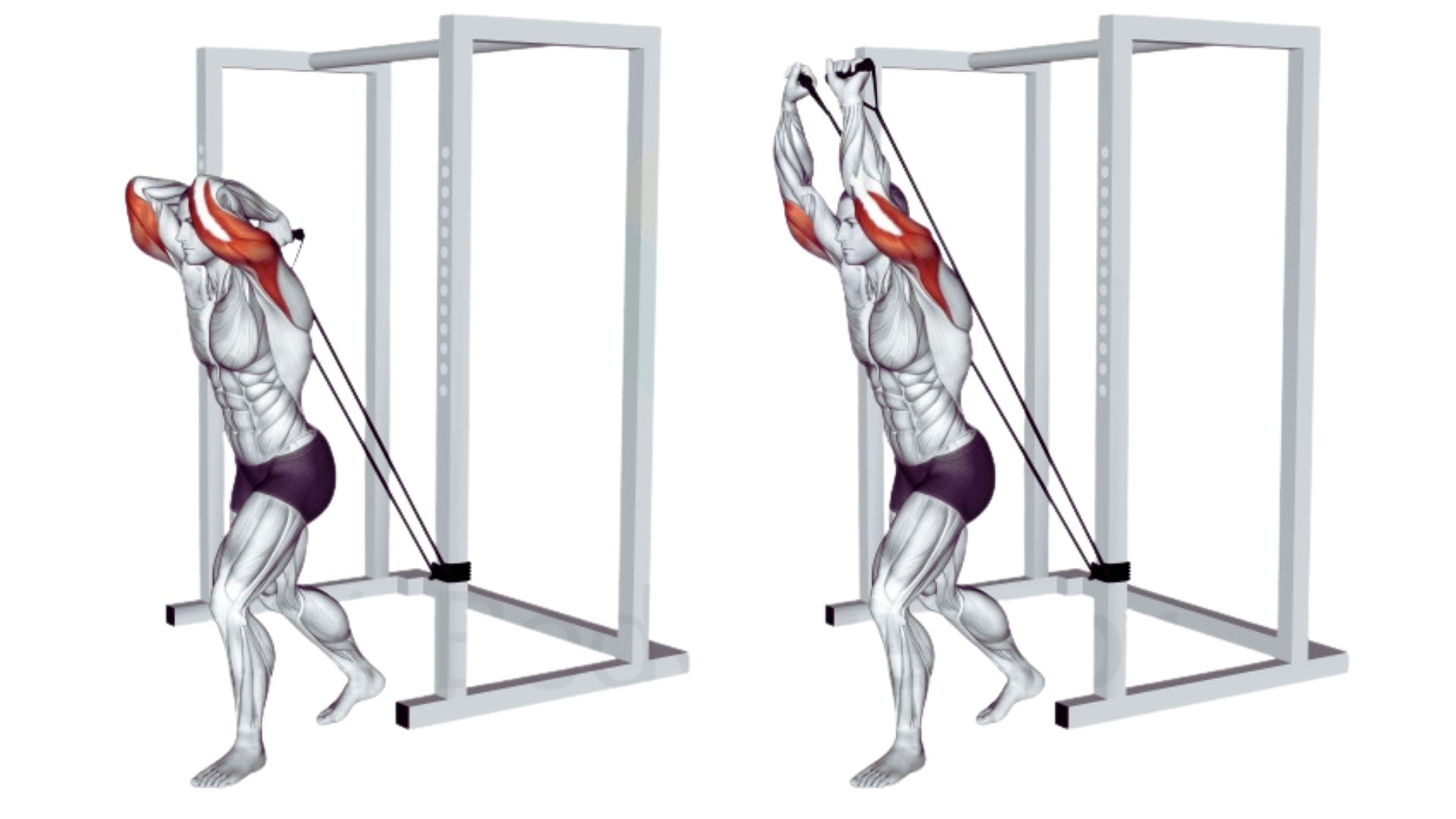 Overhead Triceps Extension With Bands