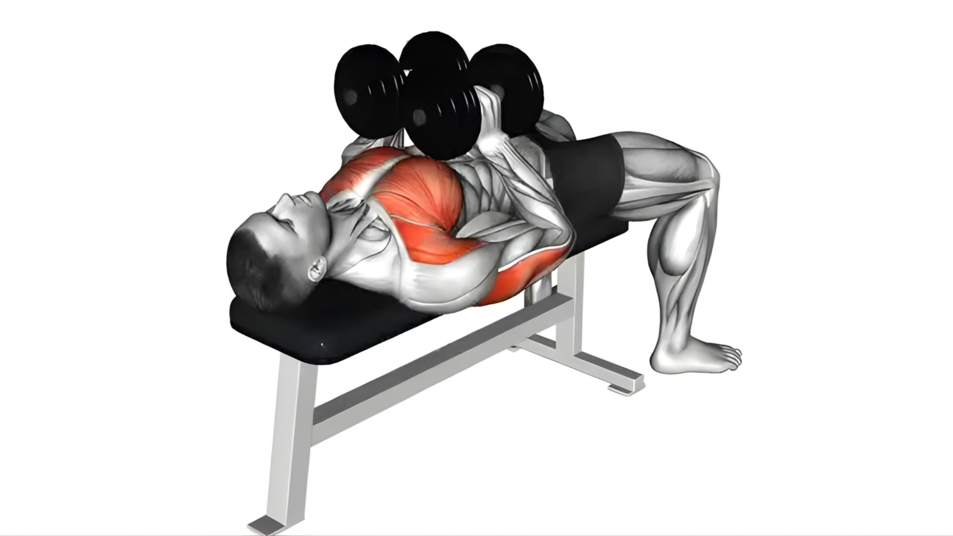 Recommended Sets, Reps, and Progression