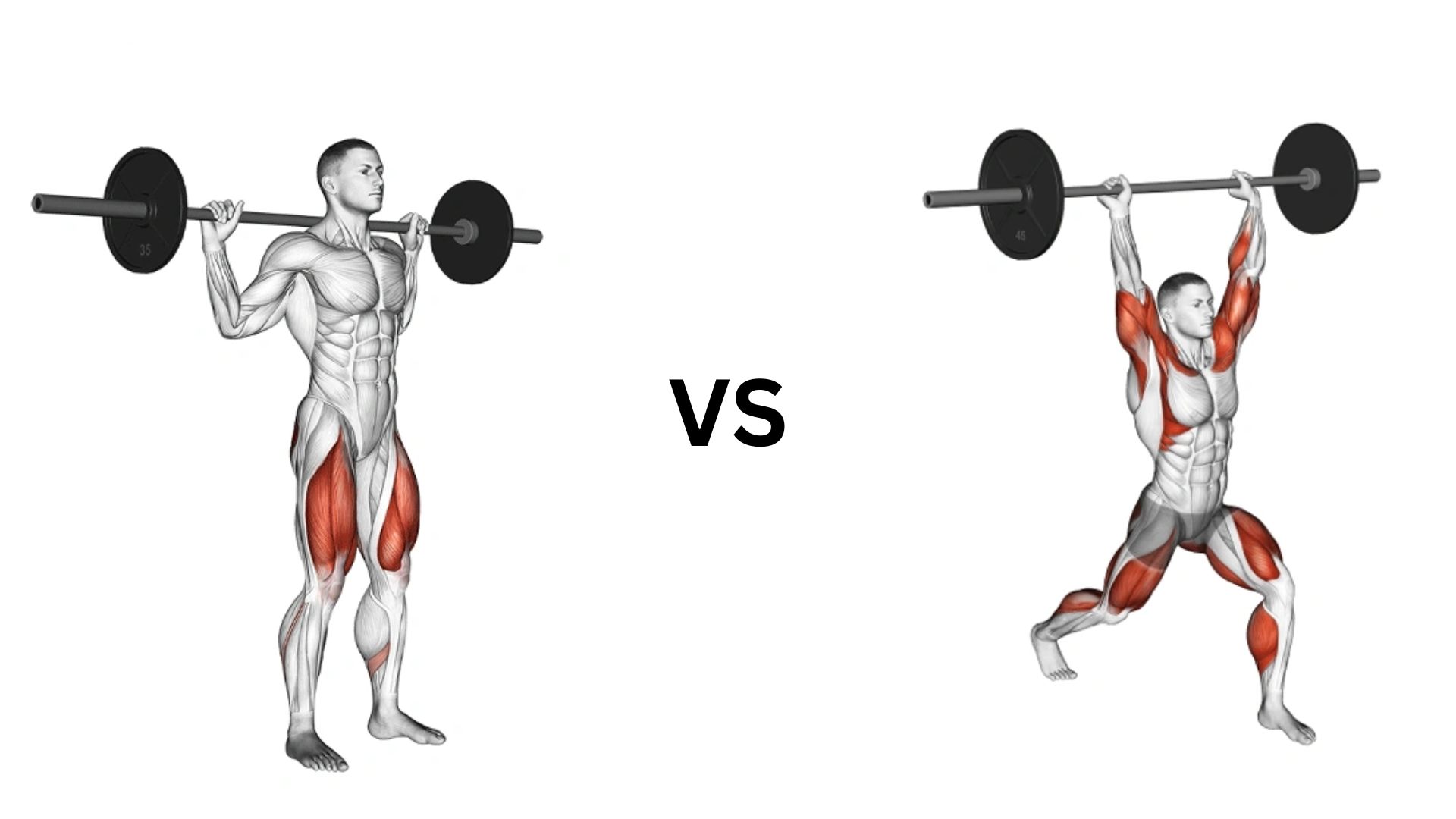 Powerlifting vs Strength Training: Key Differences