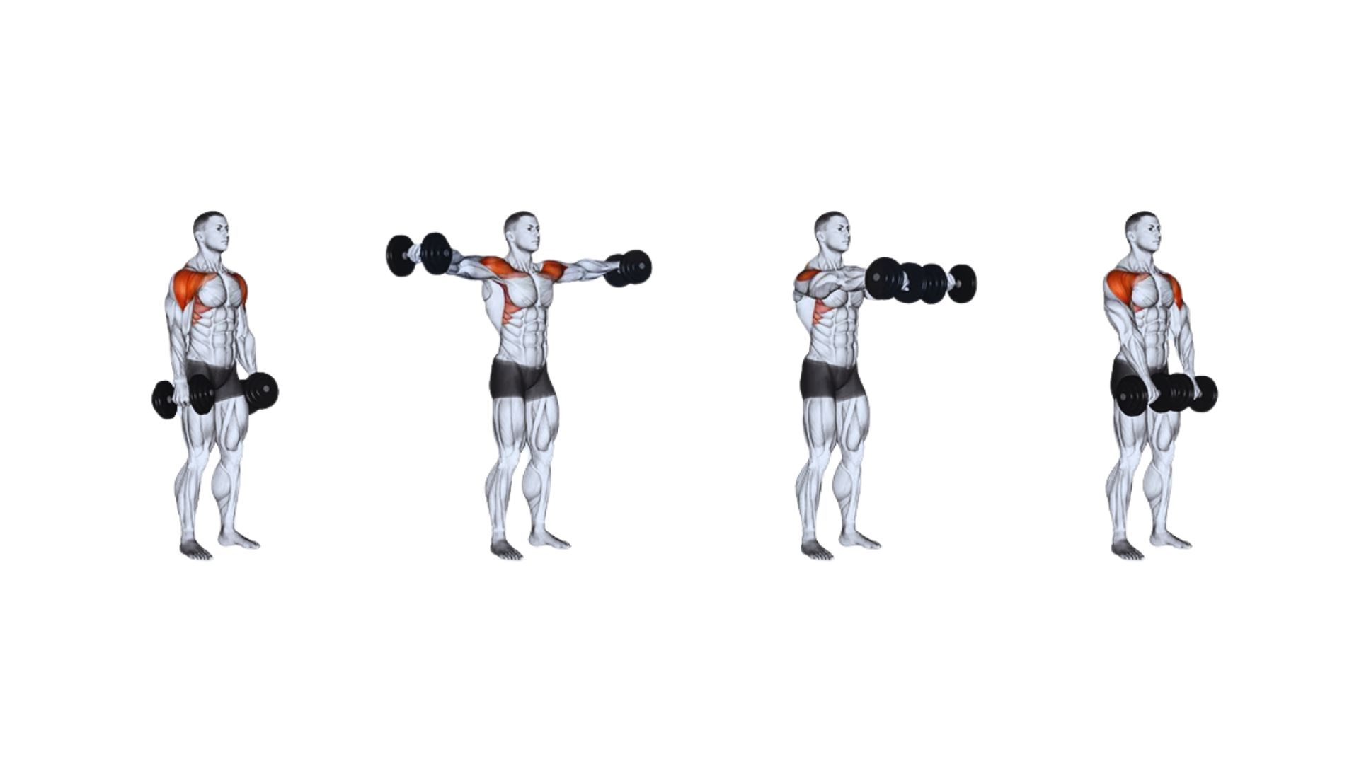 Front Raise vs Lateral Raise