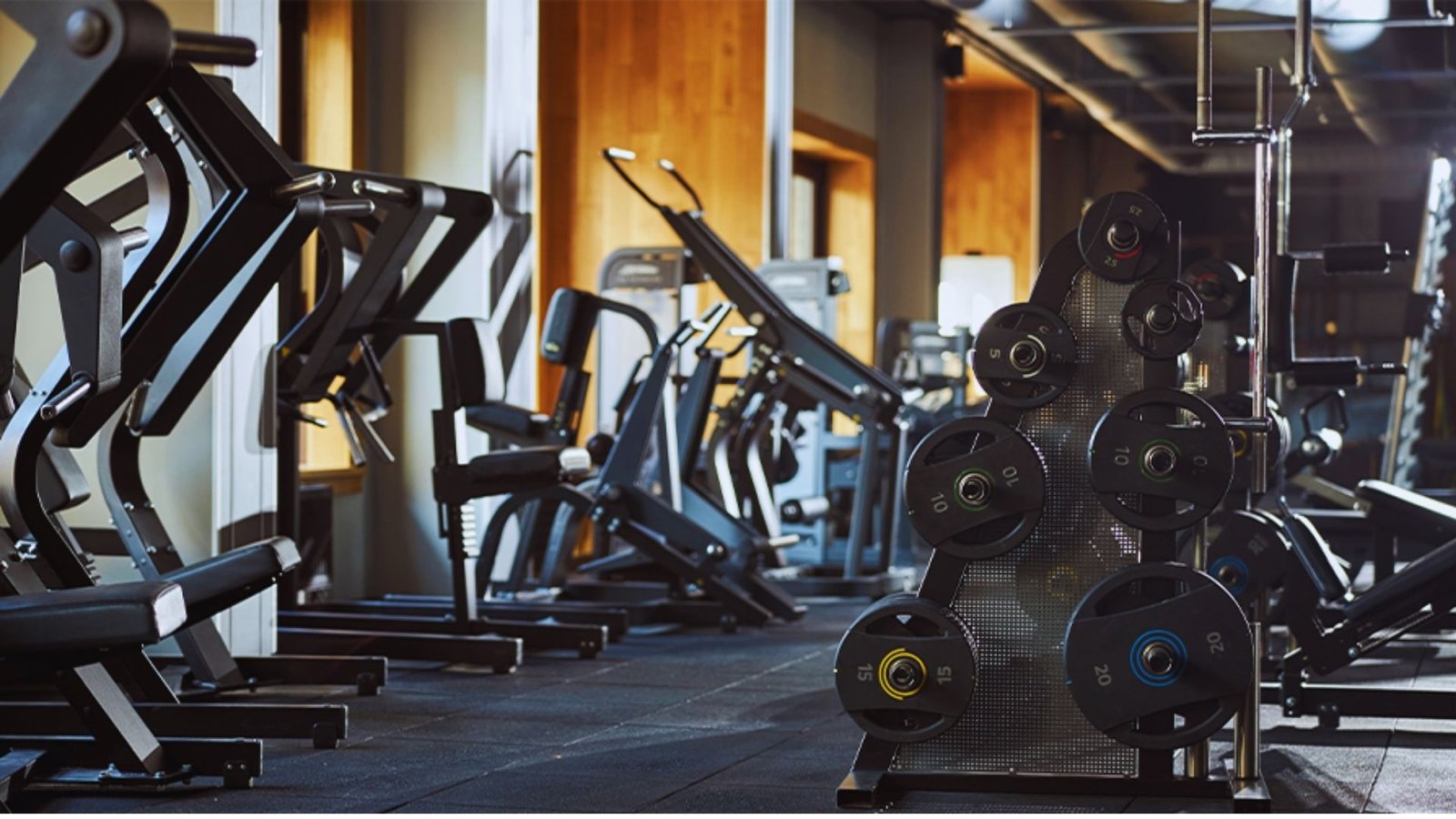 Equipment and Gym Requirements for Beginners