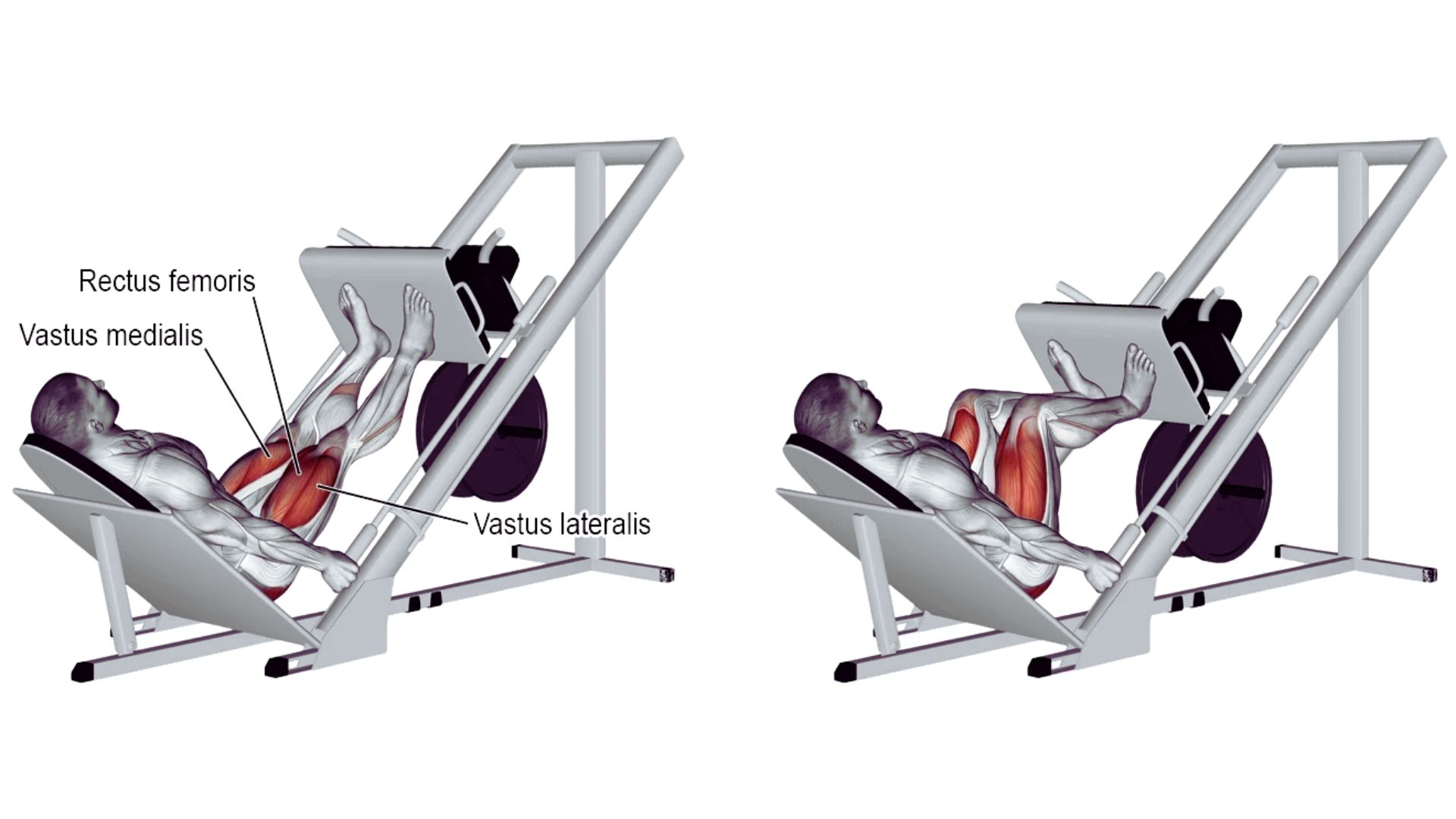How to Use the Leg Press Machine Correctly