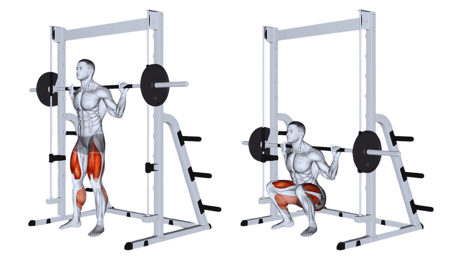 Smith Machine Squat