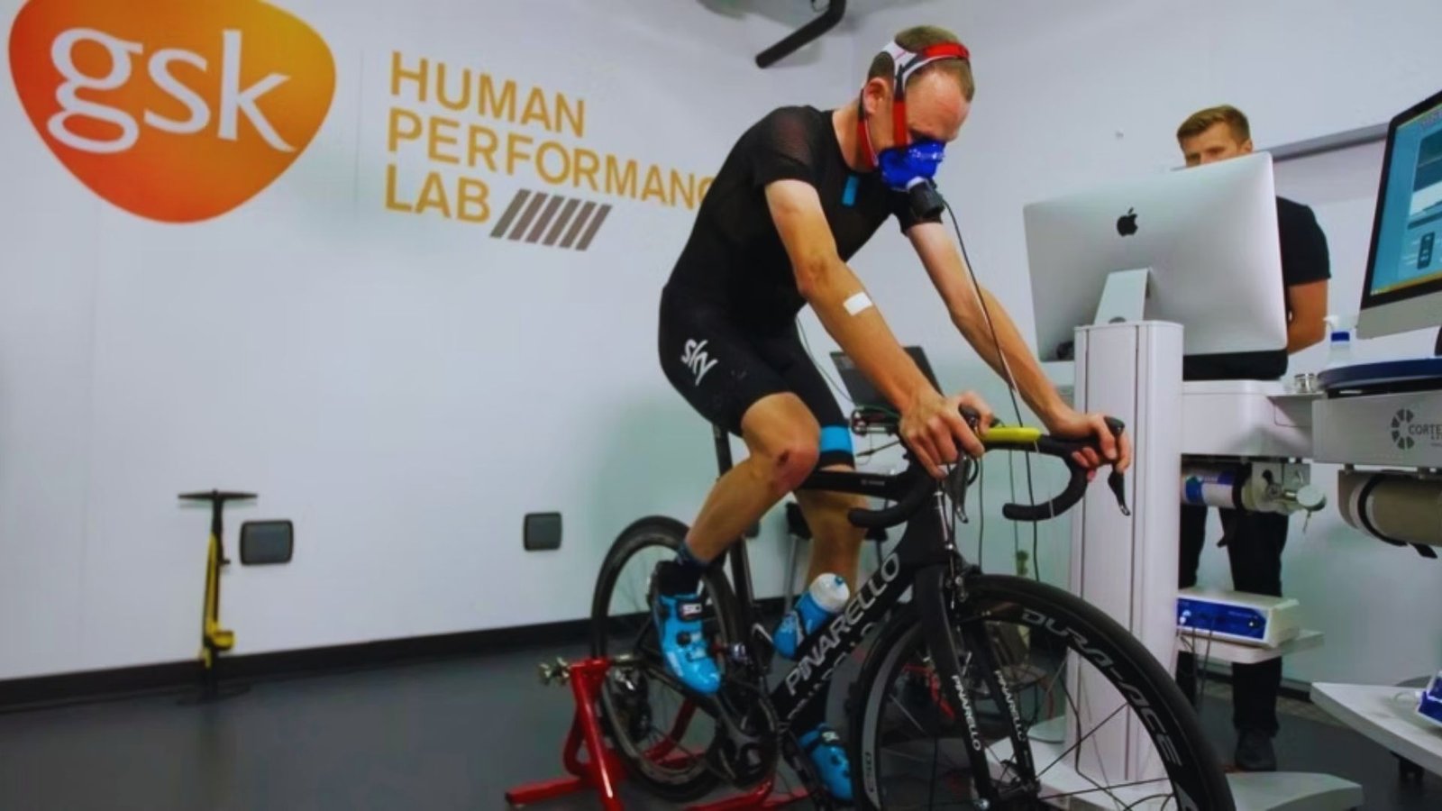 The Science Behind Reversibility in Fitness