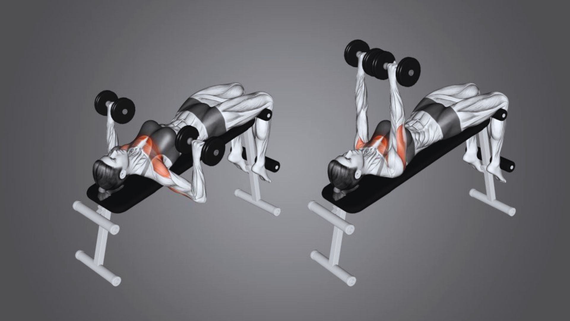 Dumbbell Bench Press