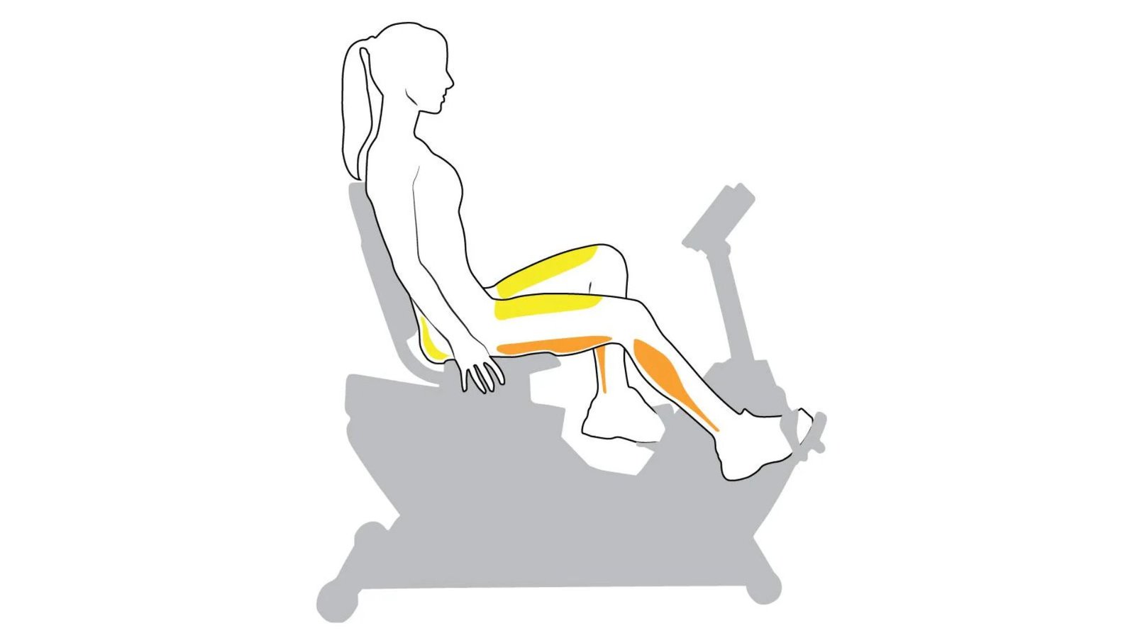 How a Recumbent Bike Engages Your Muscles