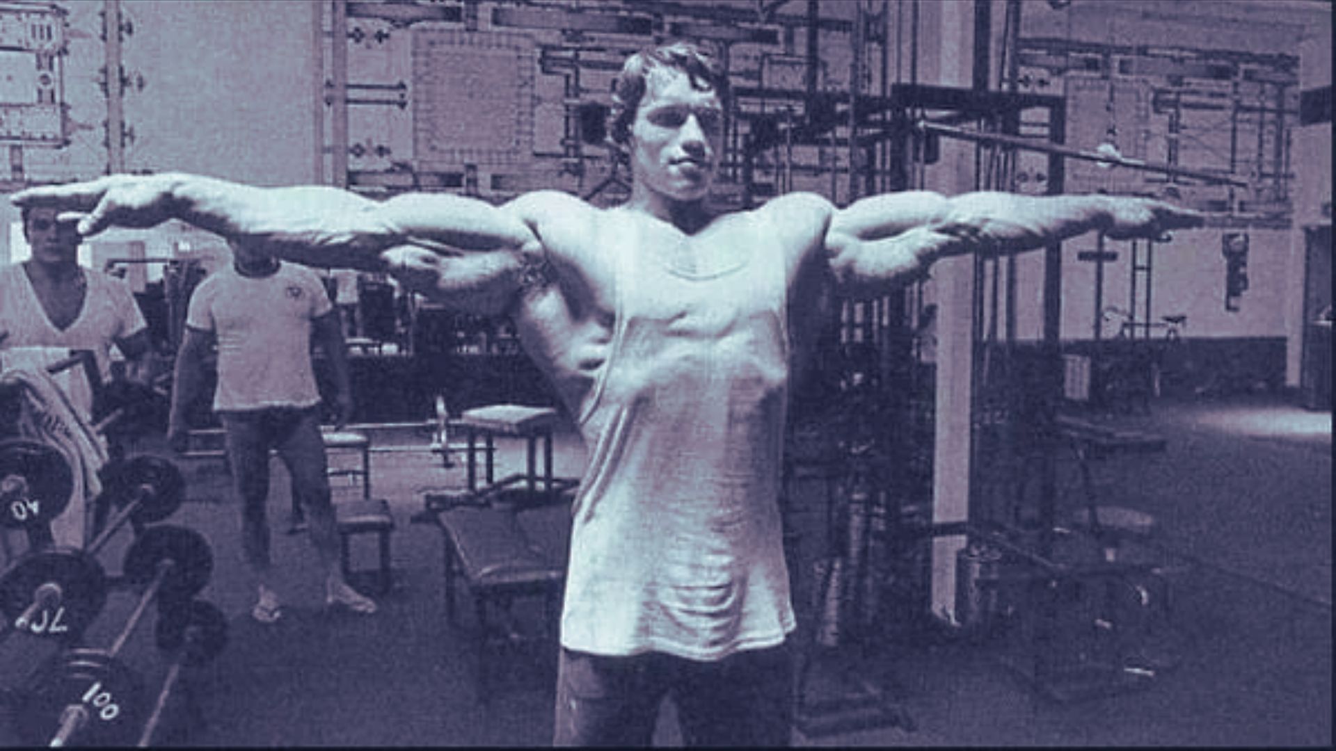 Function of the Long Head of the Biceps