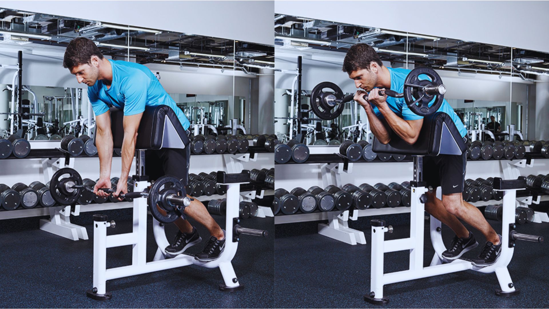 Spider Curls vs Preacher Curls