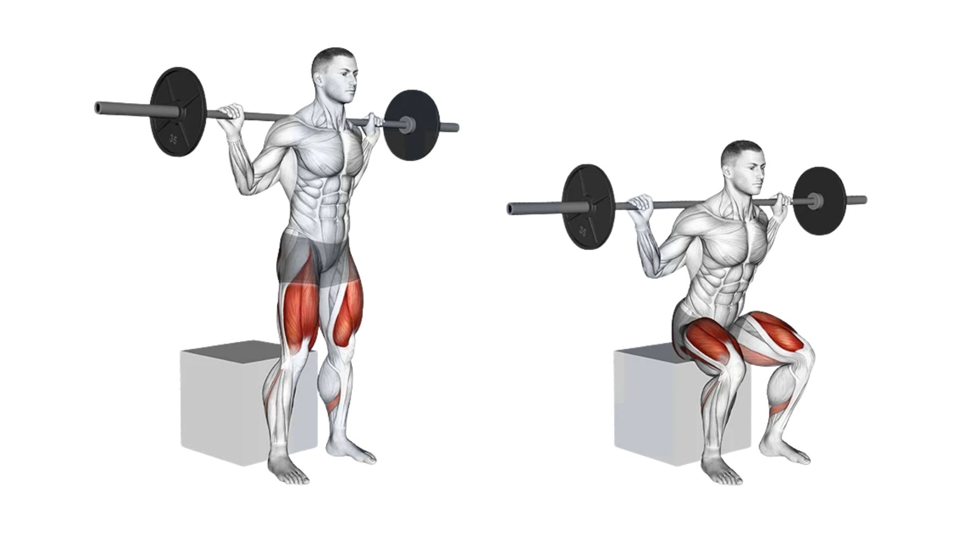 Box Squat