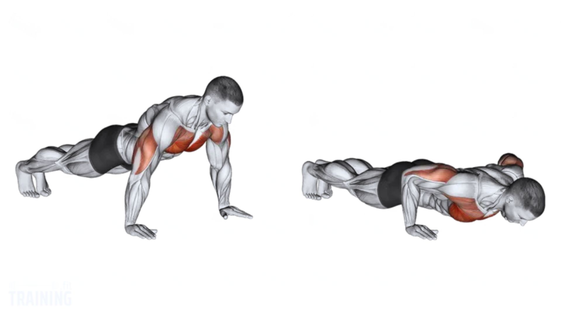 Push-Ups and Cable Variations