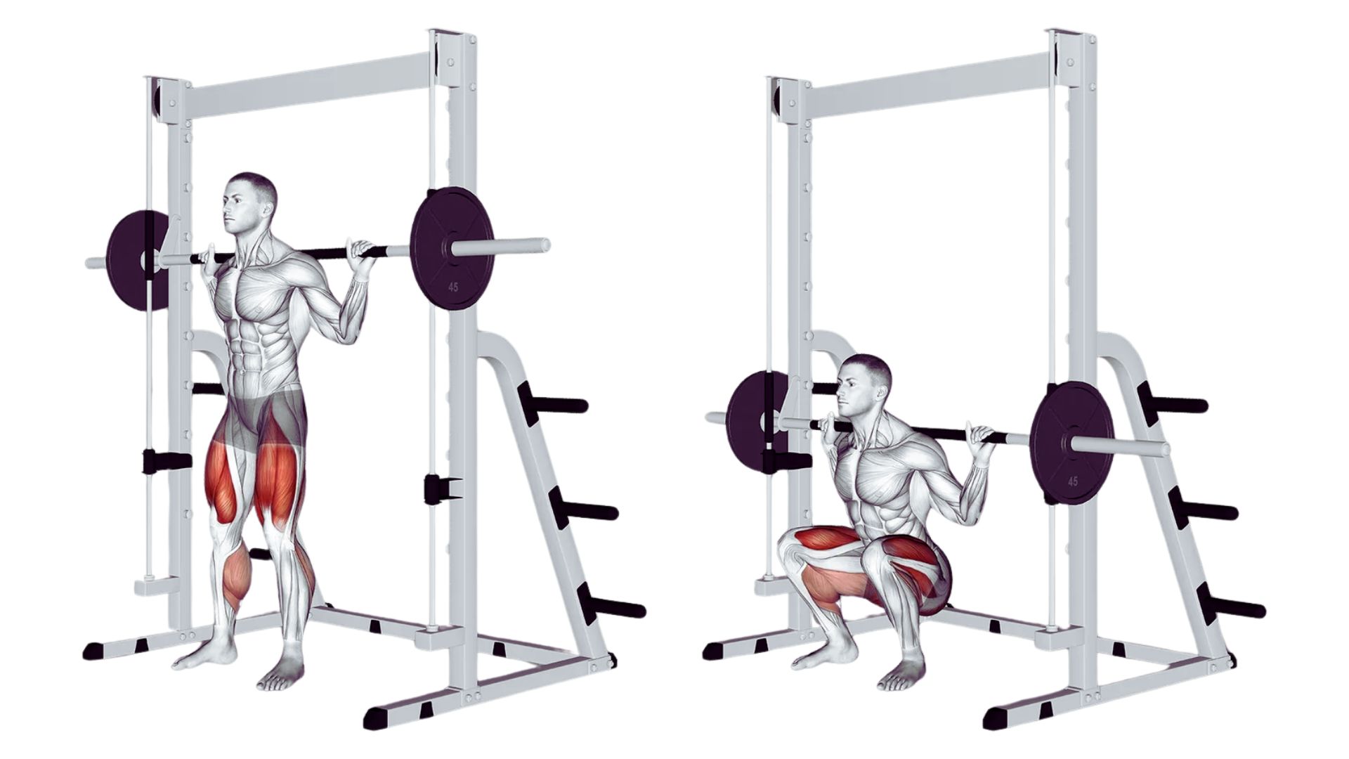 What Is a Smith Machine