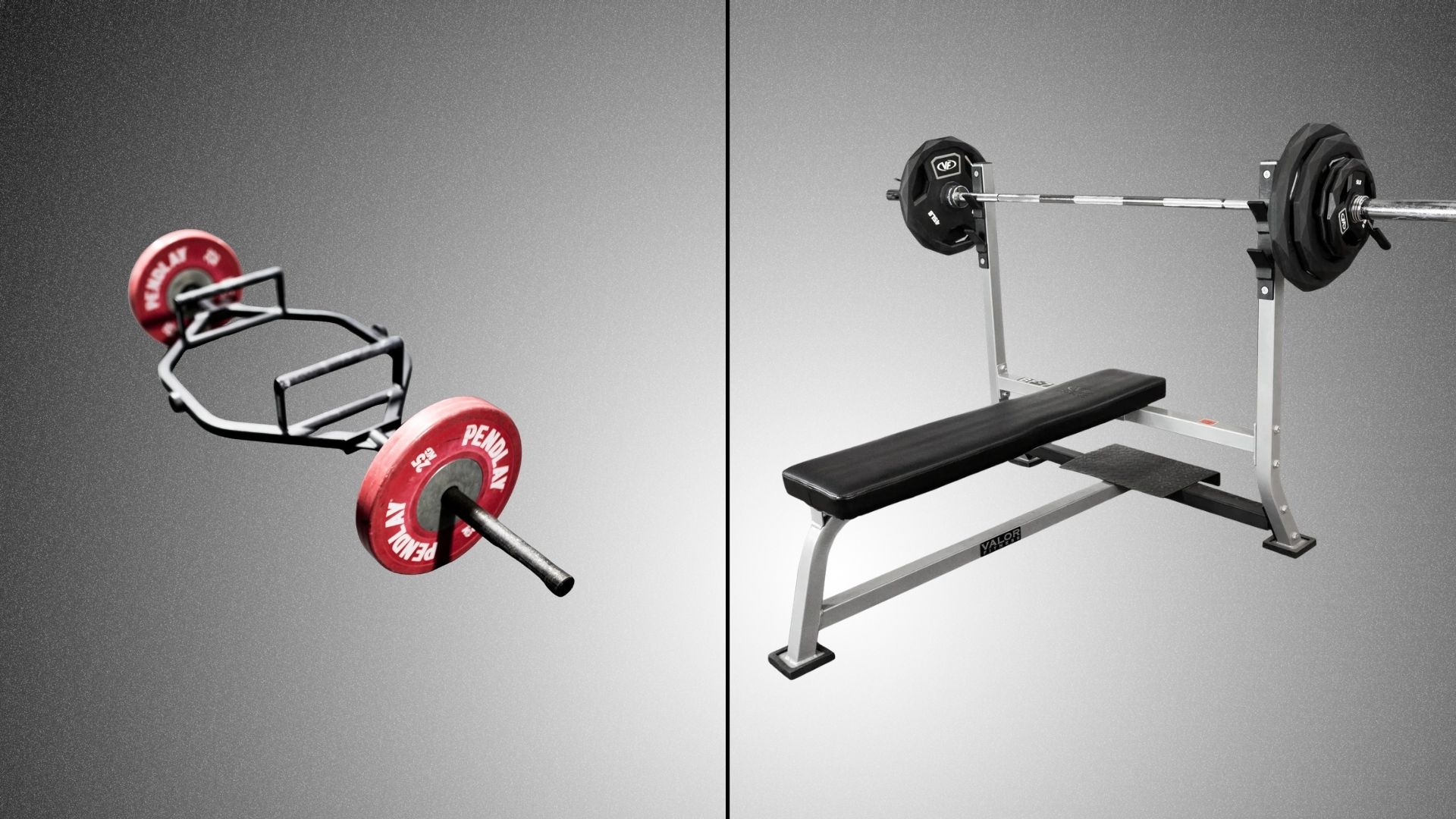 Image shows a deadlift bar and a bench bar side by side, highlighting their differences in design and purpose.