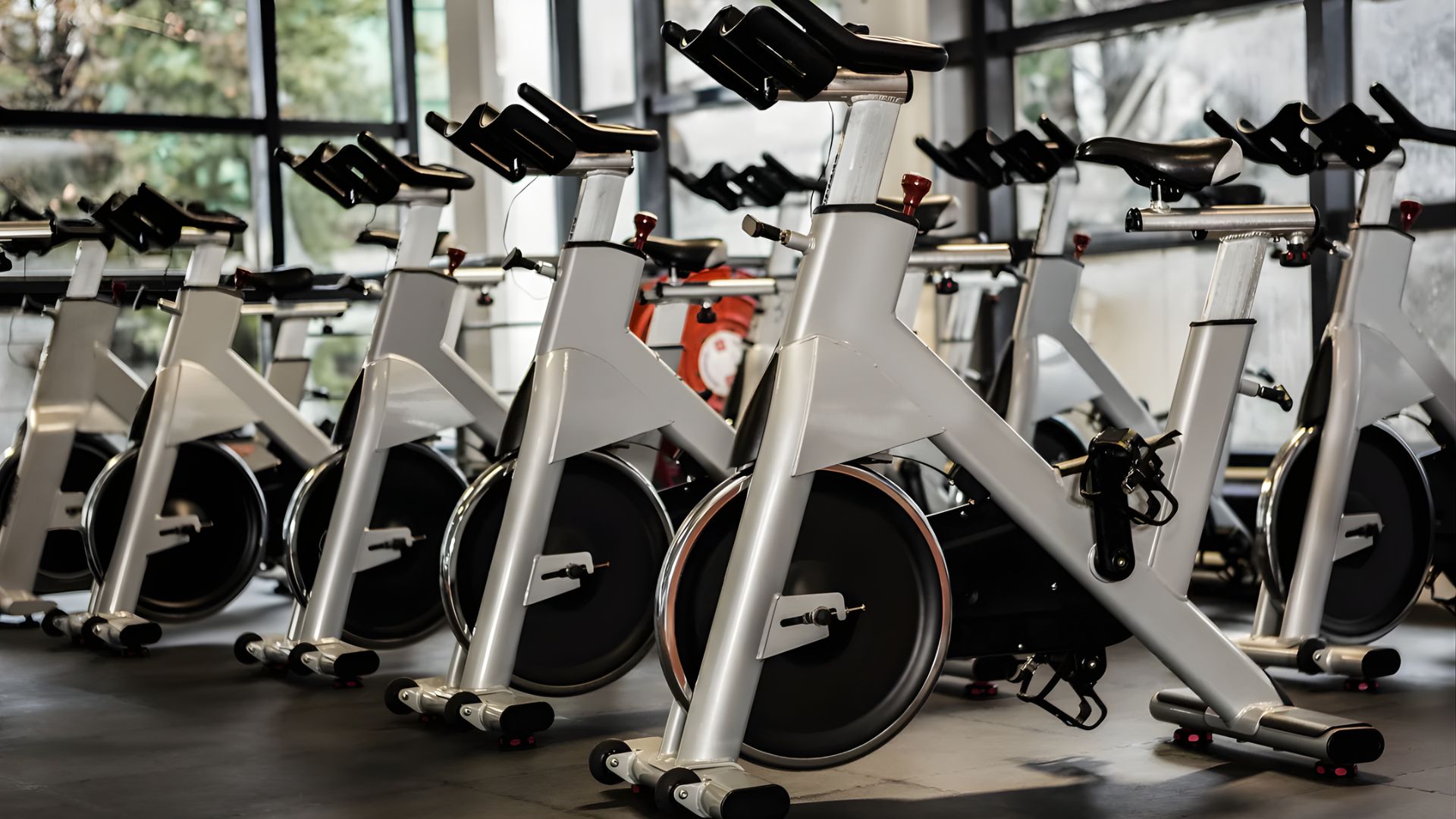 Multiple exercise bikes arranged in a gym, showcasing a fitness area designed for cycling workouts.