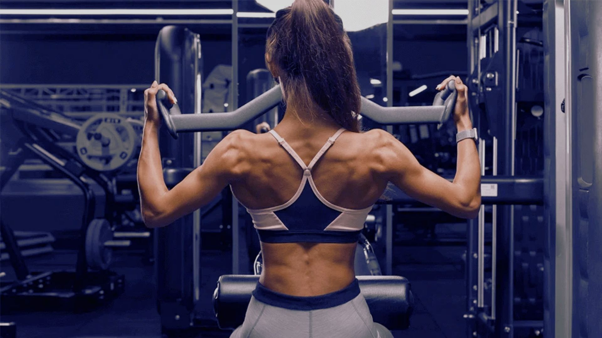 Understanding the Lat Pulldown Exercise