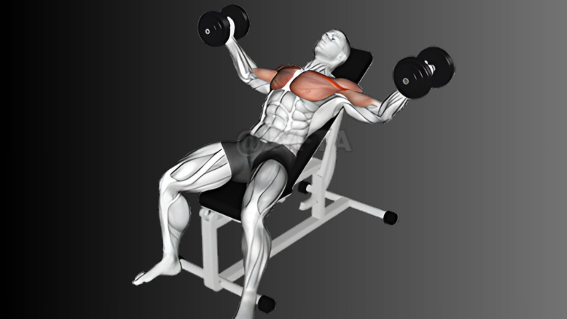 A man is engaged in a bench press workout with dumbbells, showcasing strength training in a fitness environment.