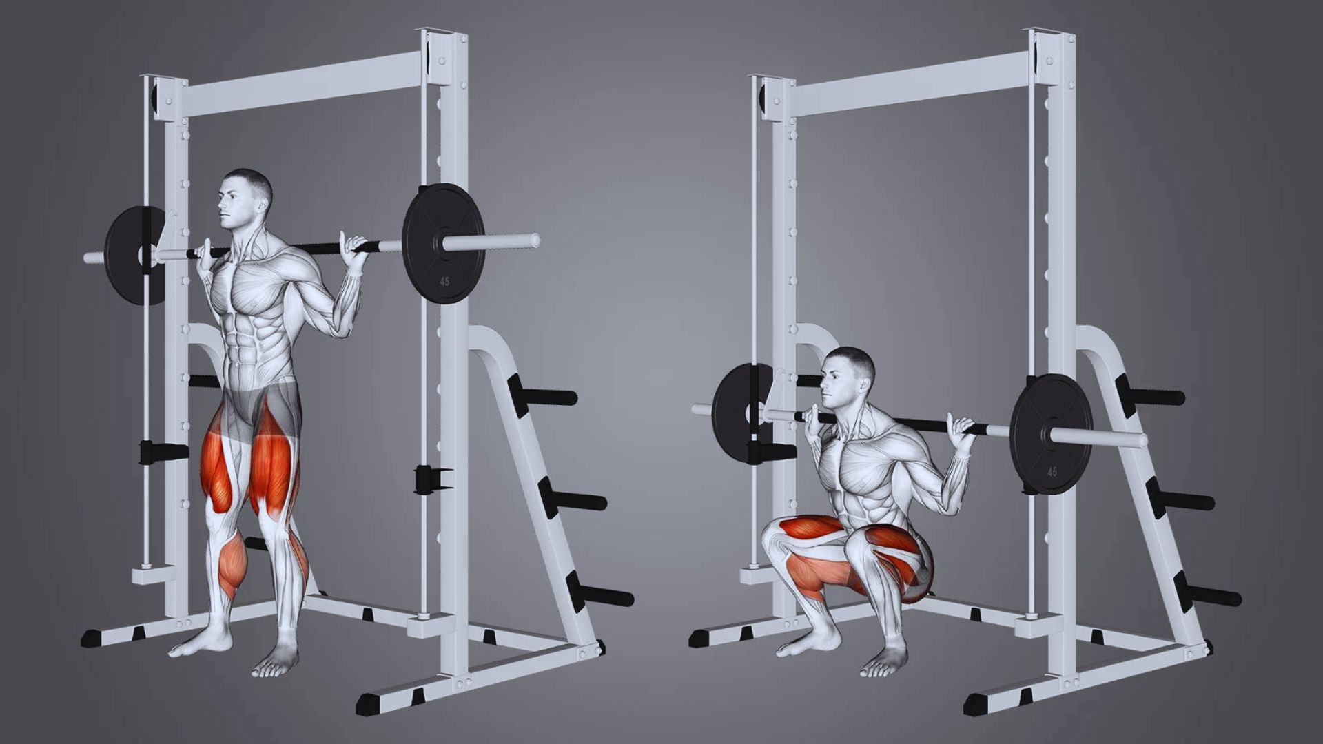 Smith Machine