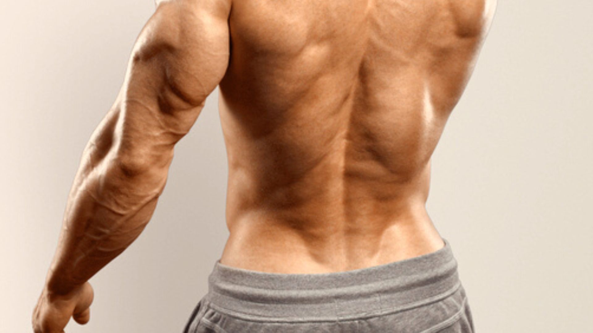A muscular man showcasing his strong back, highlighting the lower back muscles, specifically the erector spinae.