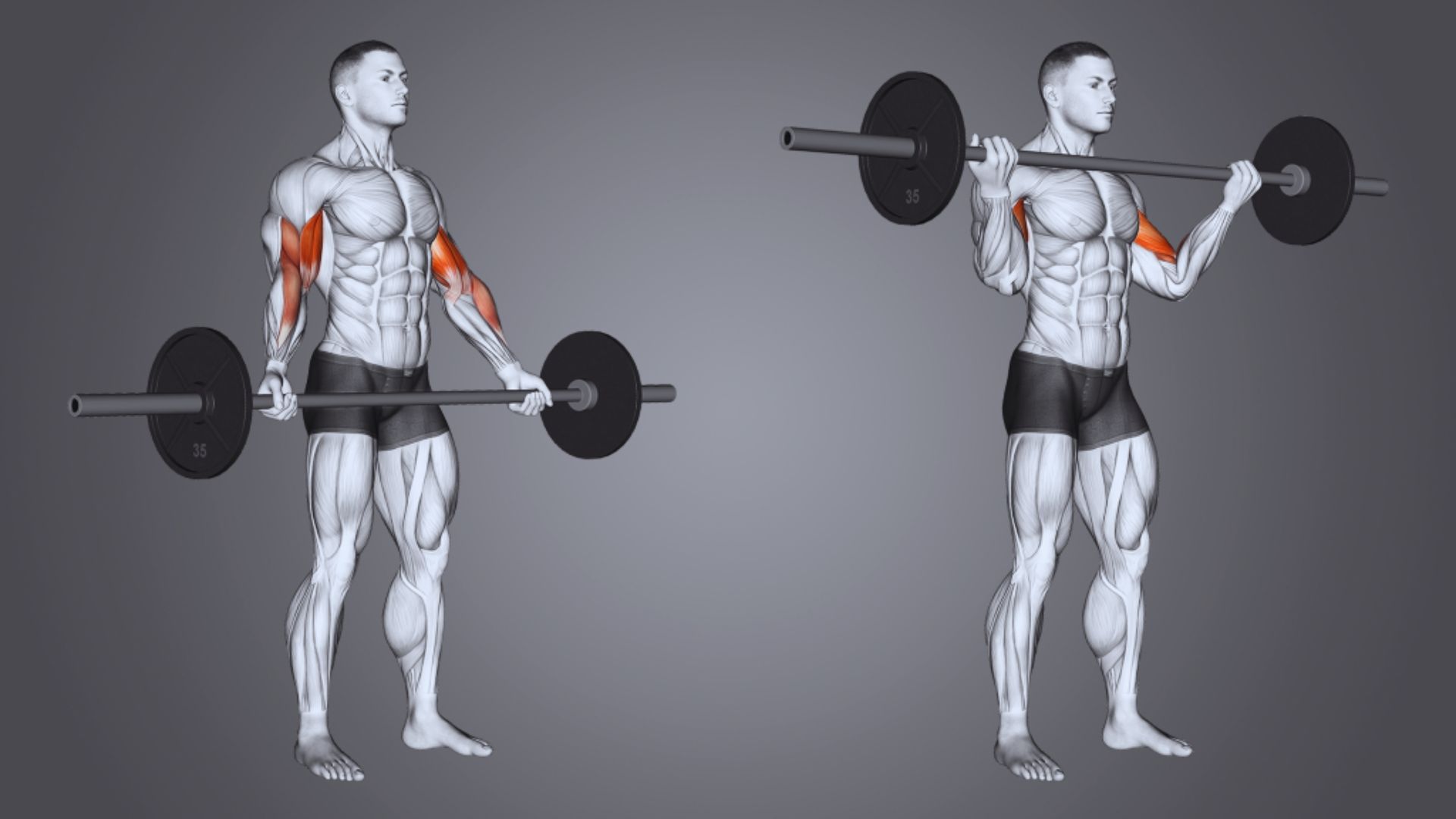 Two men perform barbell squats with weights in a gym setting, focusing on their form and strength training.