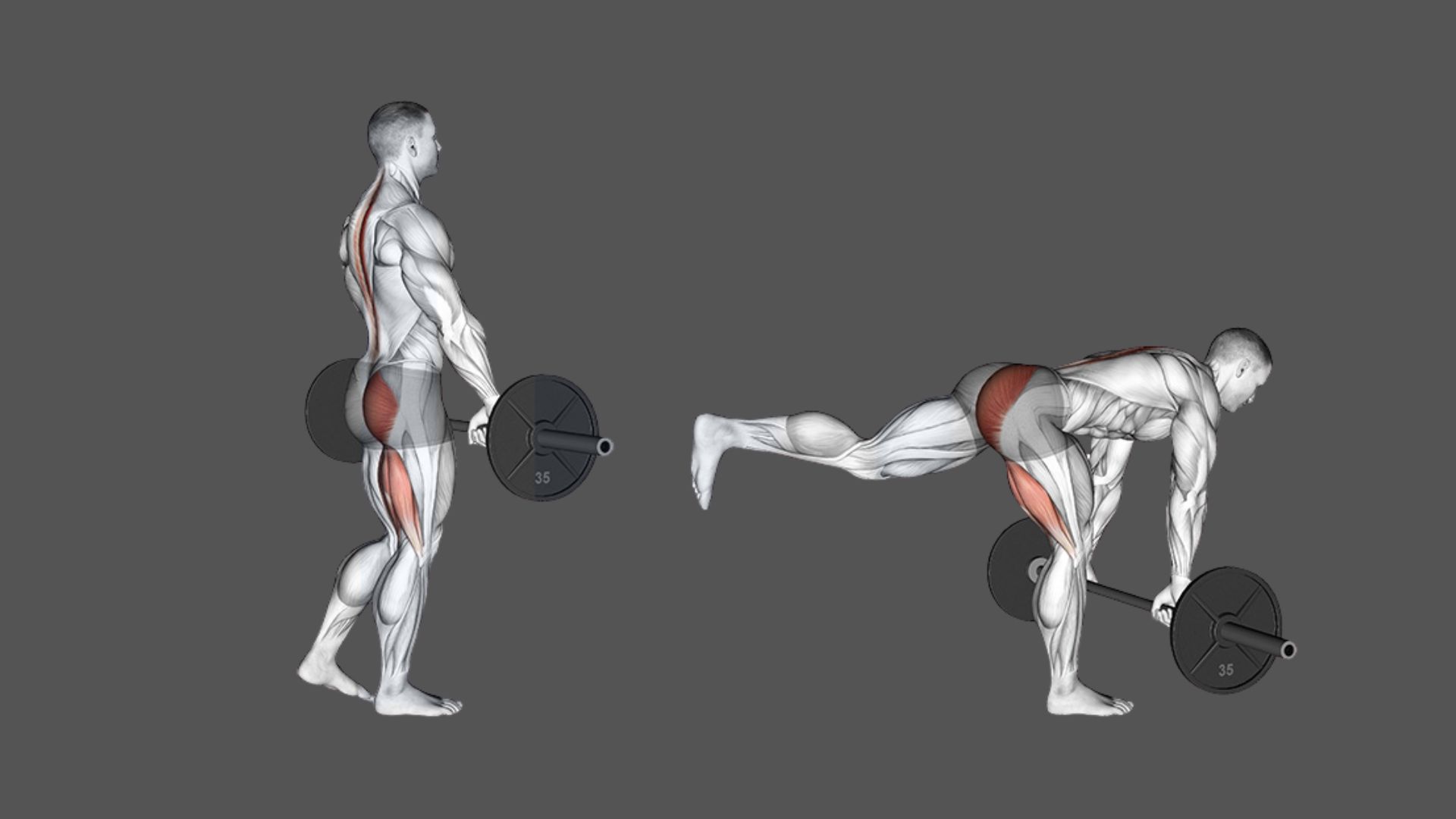 Single-Leg Deadlift