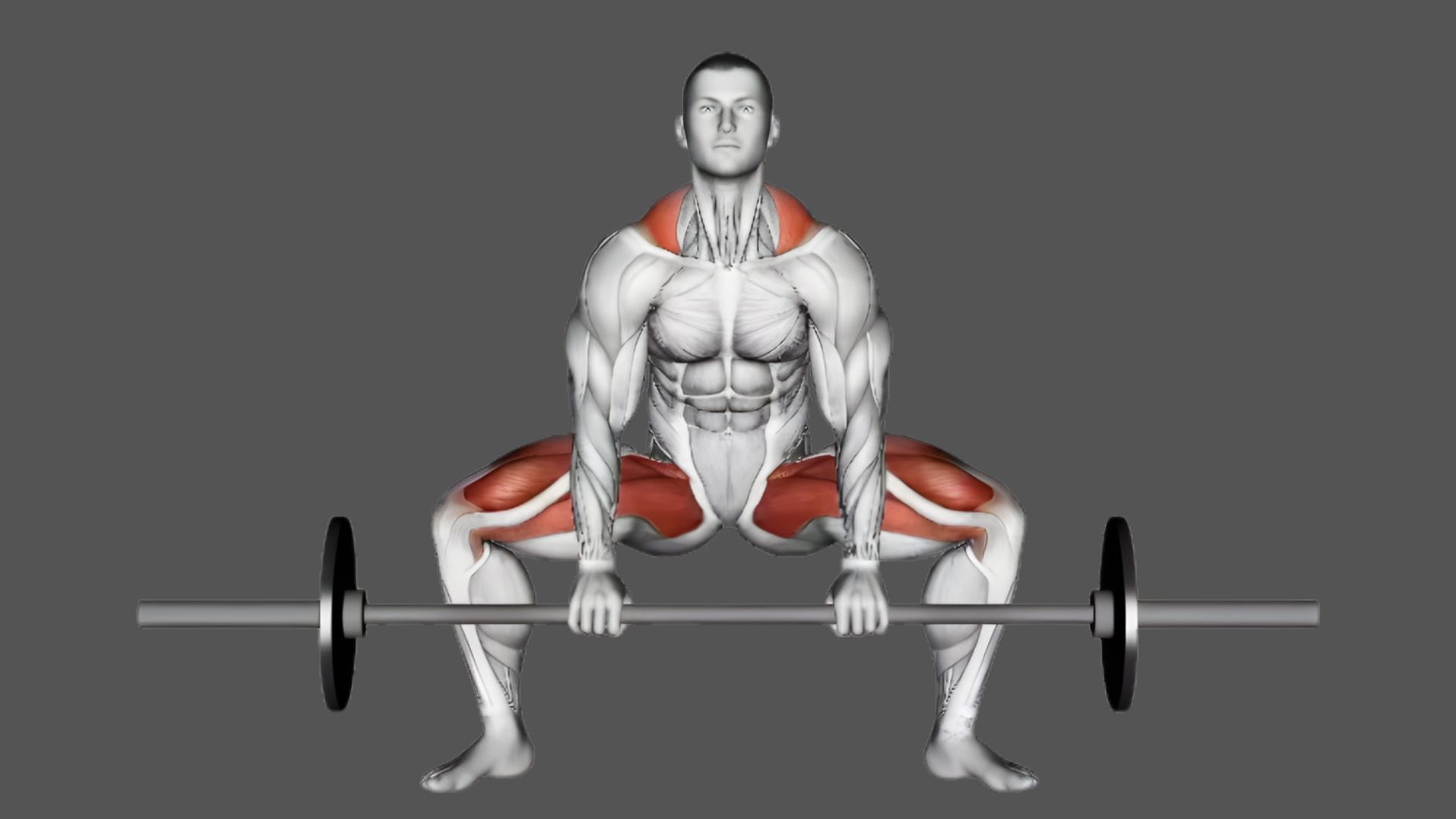 Sumo Deadlift