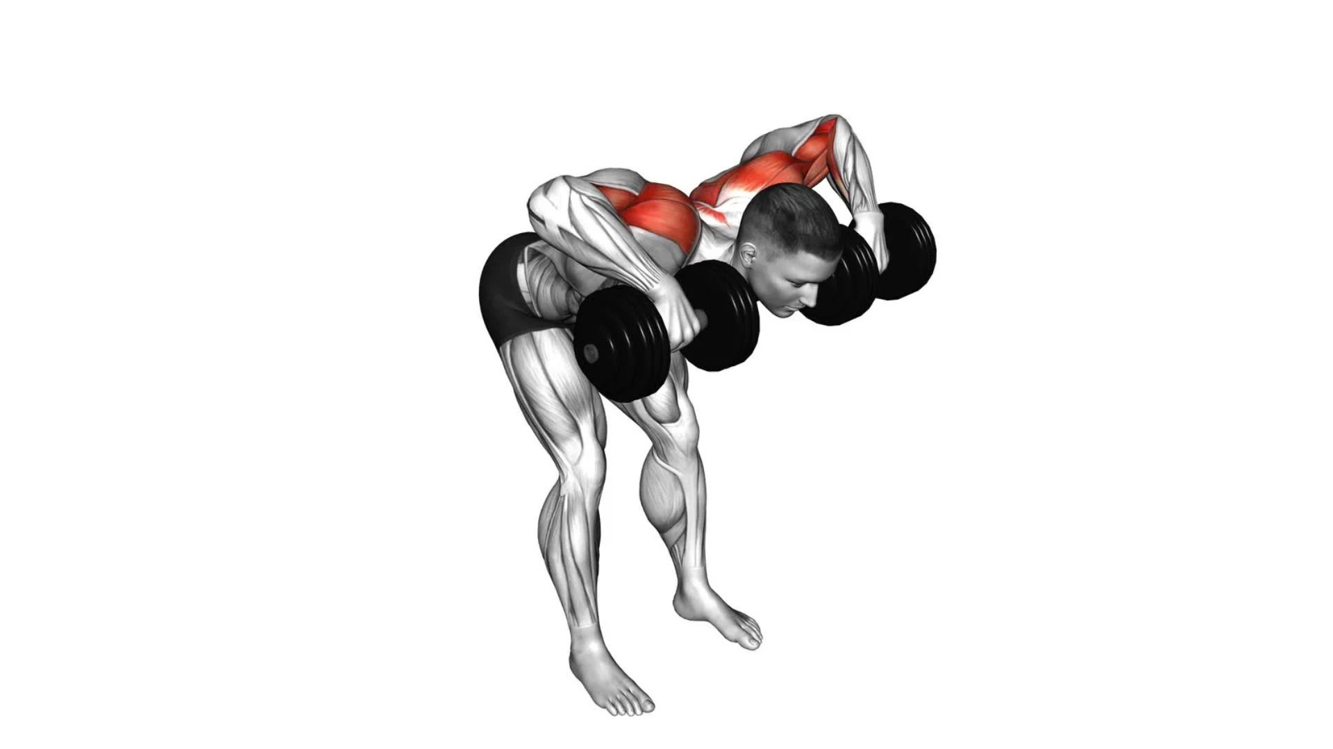 Dumbbell Face Pull