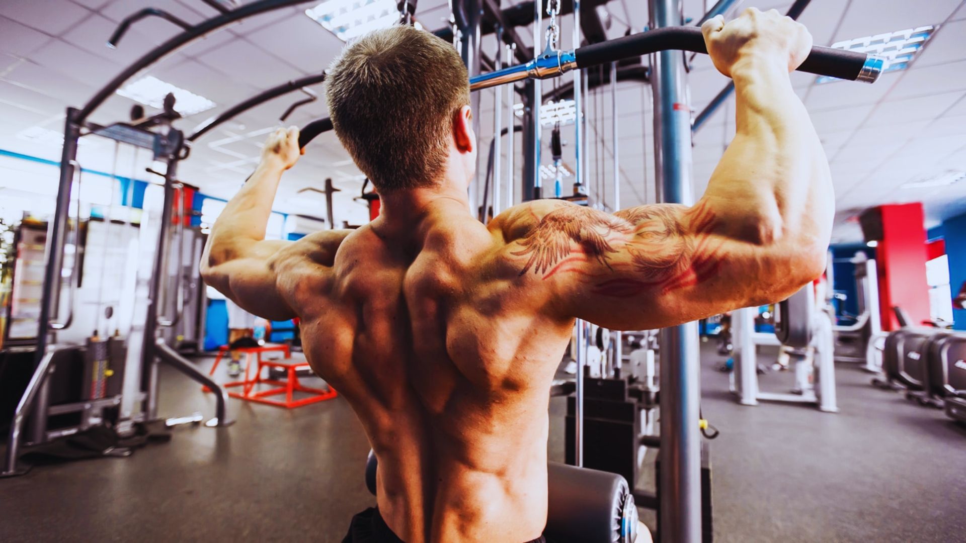 Why Choose Cable Machines for Back Workouts
