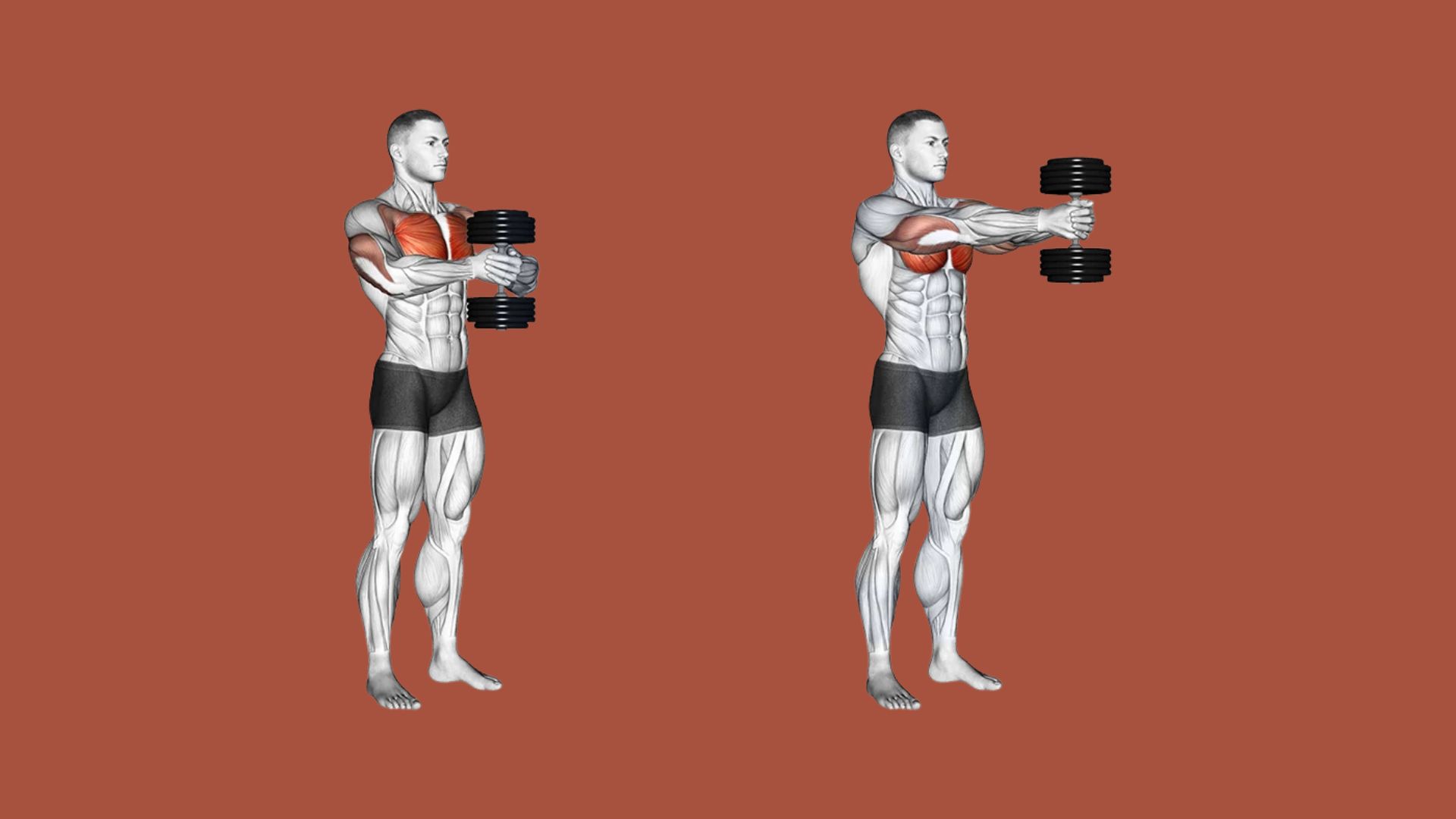 Two men are performing dumbbell exercises in a gym, focusing on strength training and fitness.