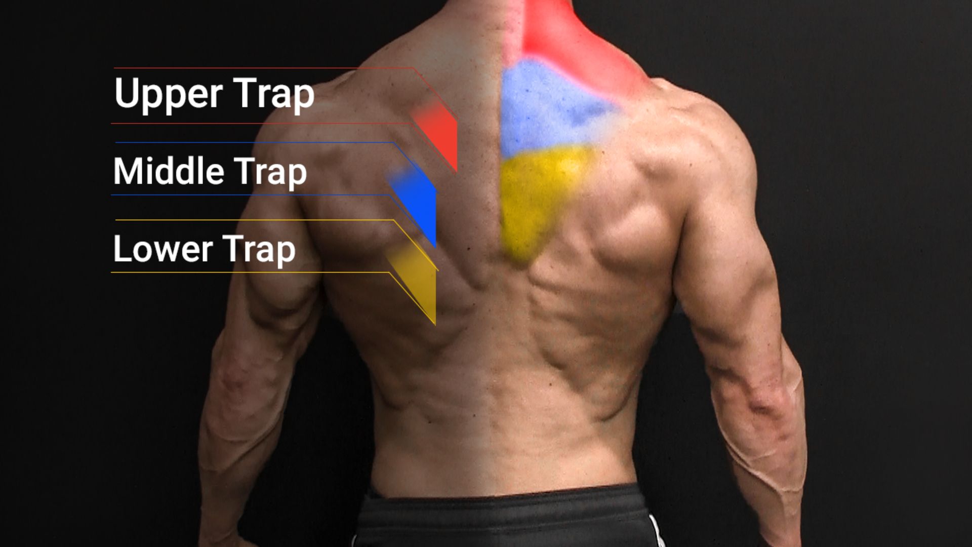 What Are the Traps