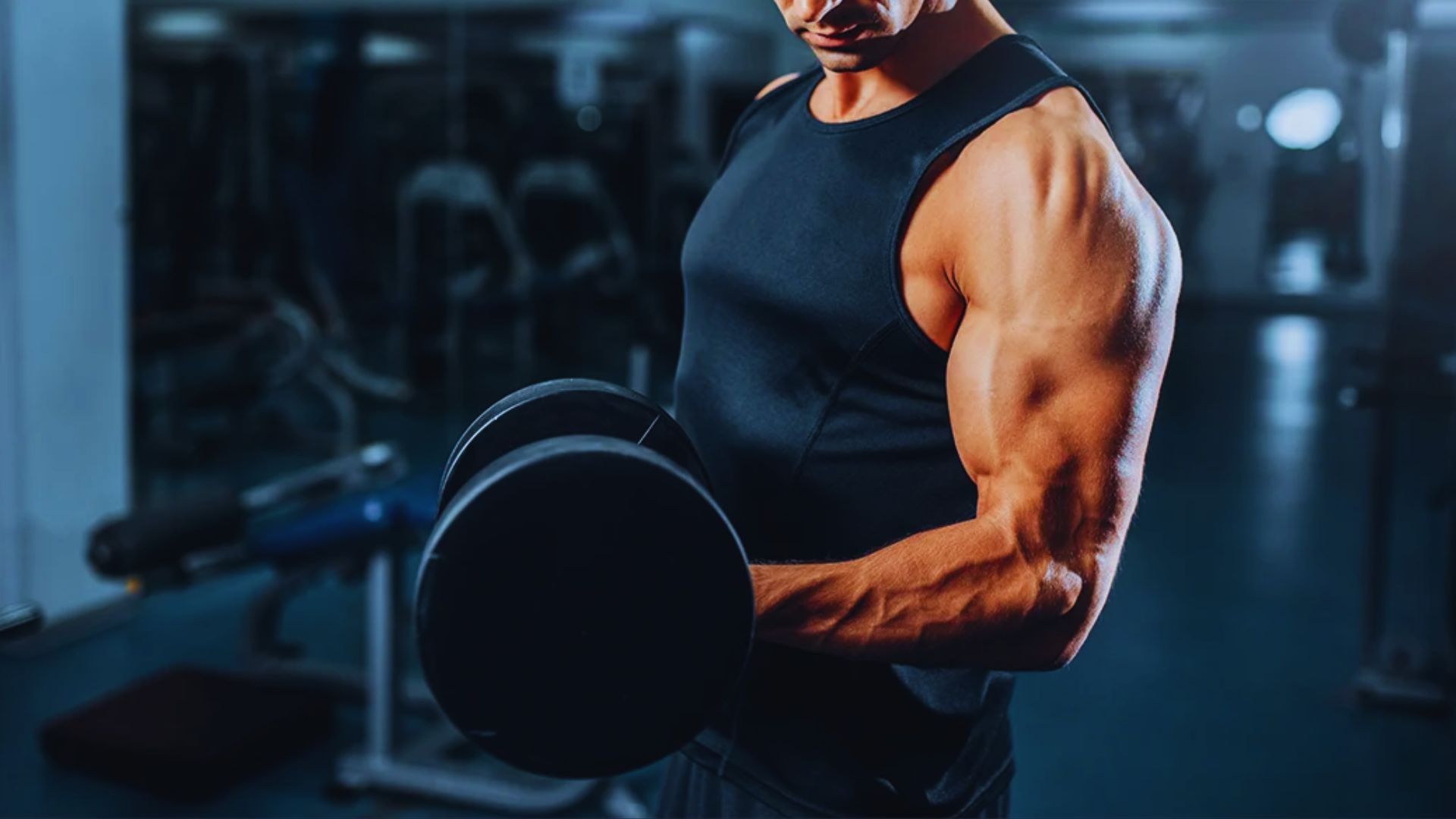 A man in a gym holds two dumbbells, preparing for a workout.