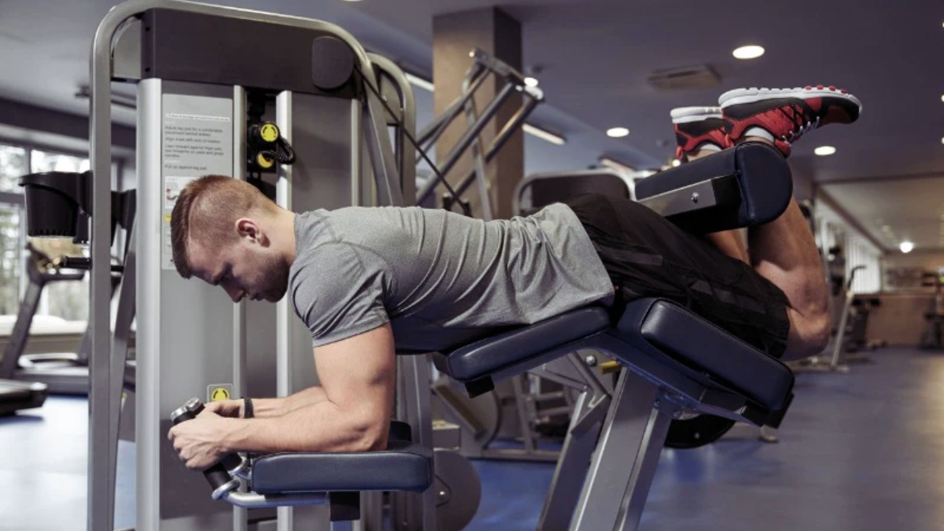 A man in a gray shirt and black shorts uses a leg curl machine in a gym. The setting is modern with exercise equipment around and a focused atmosphere.