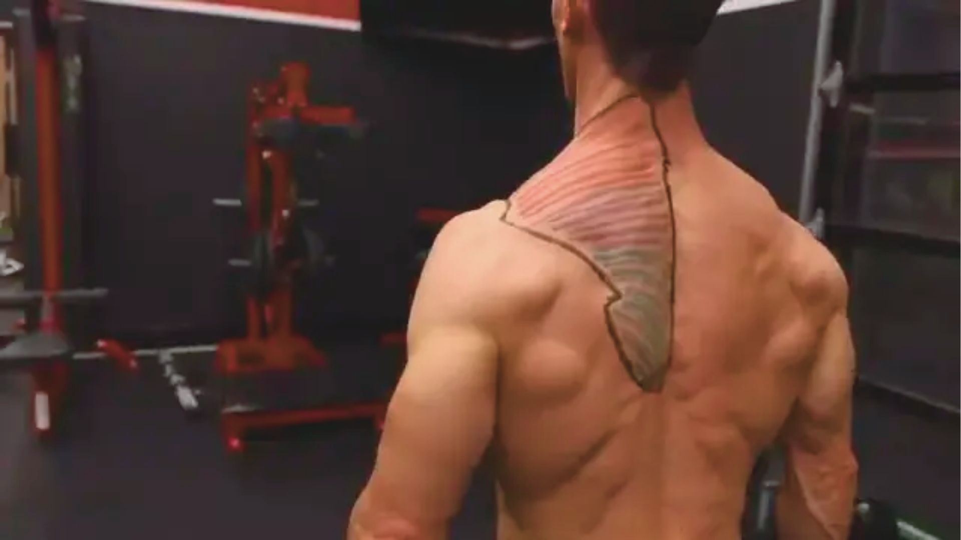 A muscular man in a gym, back turned, displaying defined muscles with a drawn outline highlighting part of the trapezius. The gym has equipment in the background.