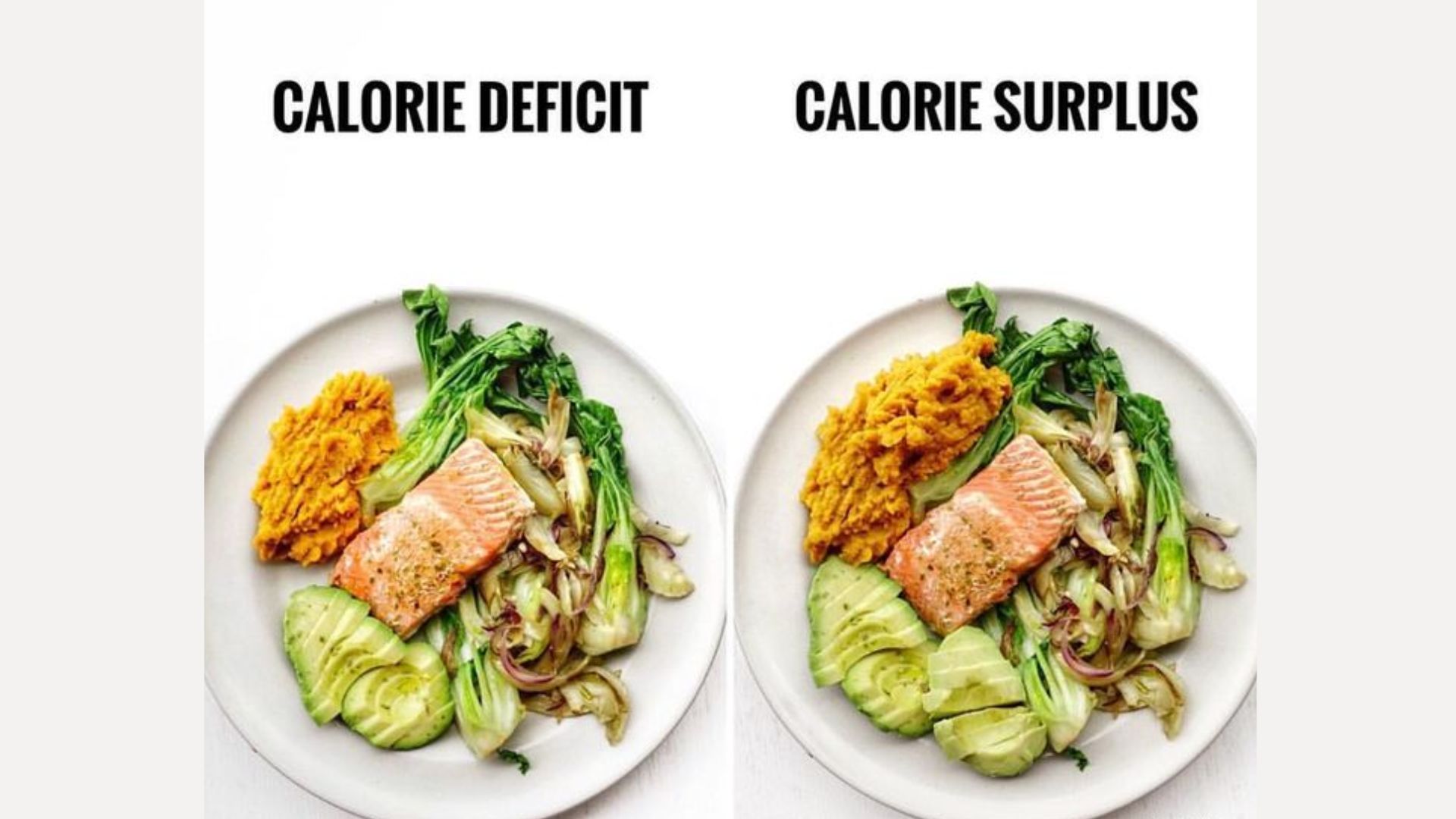 Two plates of food side by side labeled "Calorie Deficit" and "Calorie Surplus." Both have salmon, greens, and veggies; surplus has larger portions.