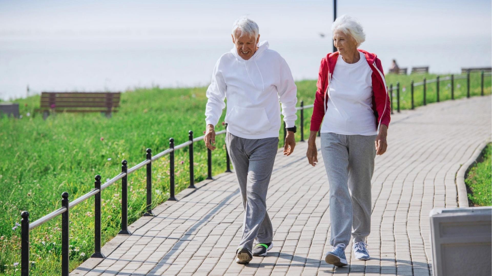 Smiling elderly couple in hoodies walks together on sunny waterfront path, doing low-impact cardio for heart health.