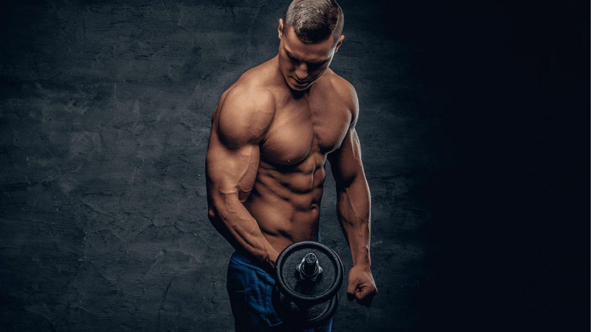 Muscular athlete does dumbbell curl, arm day bro split focuses on peak bicep contraction
