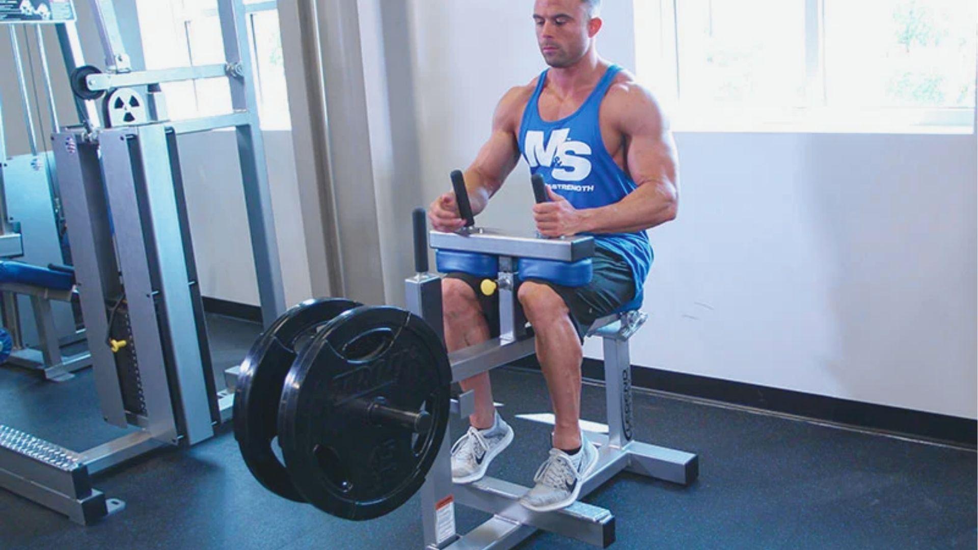 Man in blue Muscle & Strength tank top sits at a seated calf raise machine with weight plates loaded.