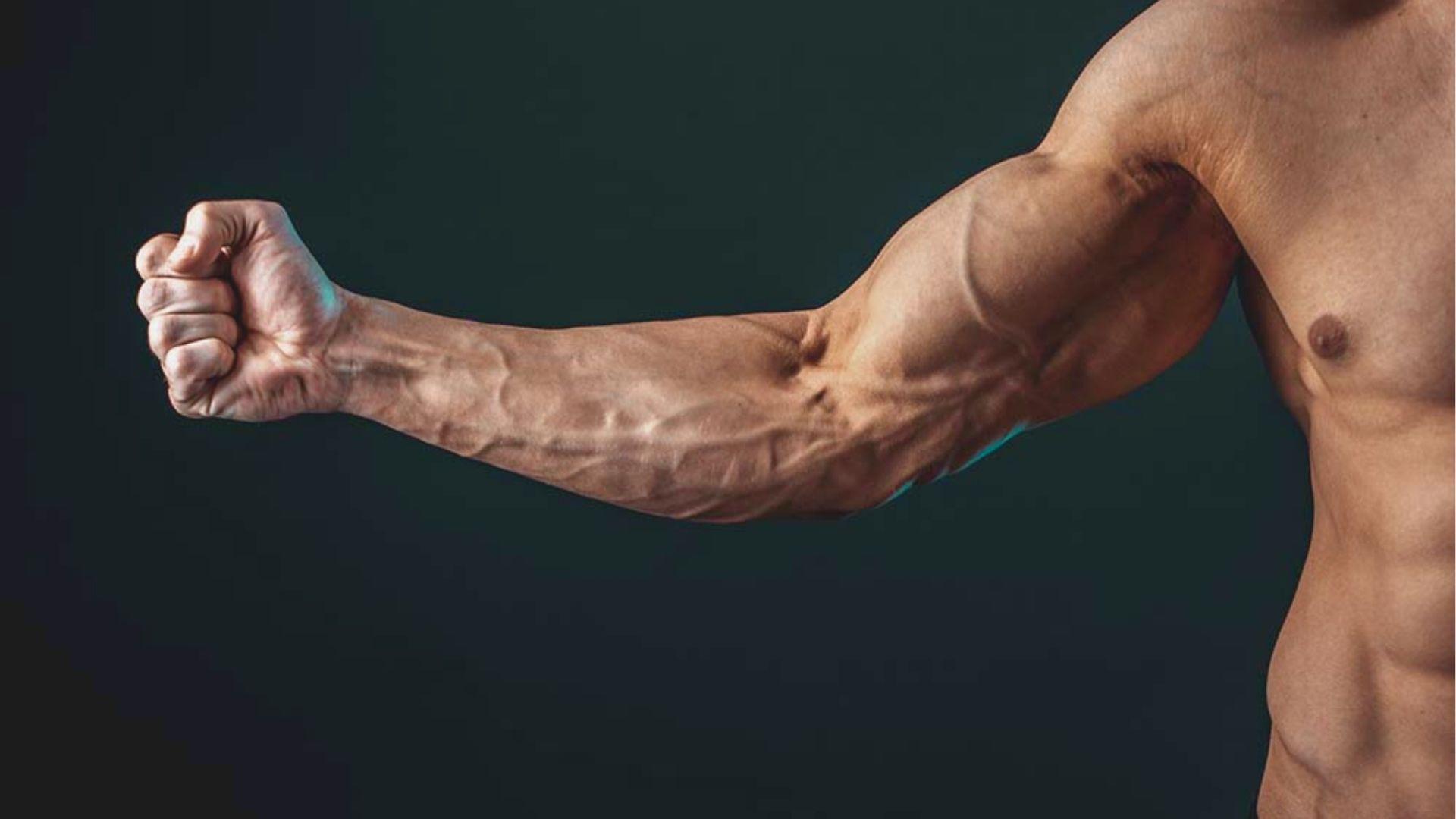 Close-up of a muscular, vascular arm flexed in a fist against a dark background.