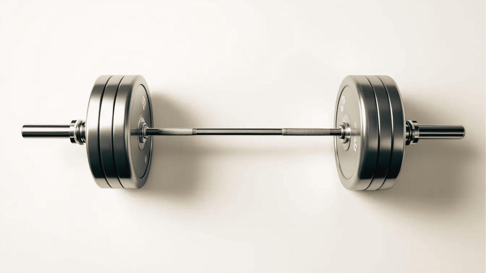 Top-down view of Olympic barbell with silver plates on white background, showcasing knurled grip.