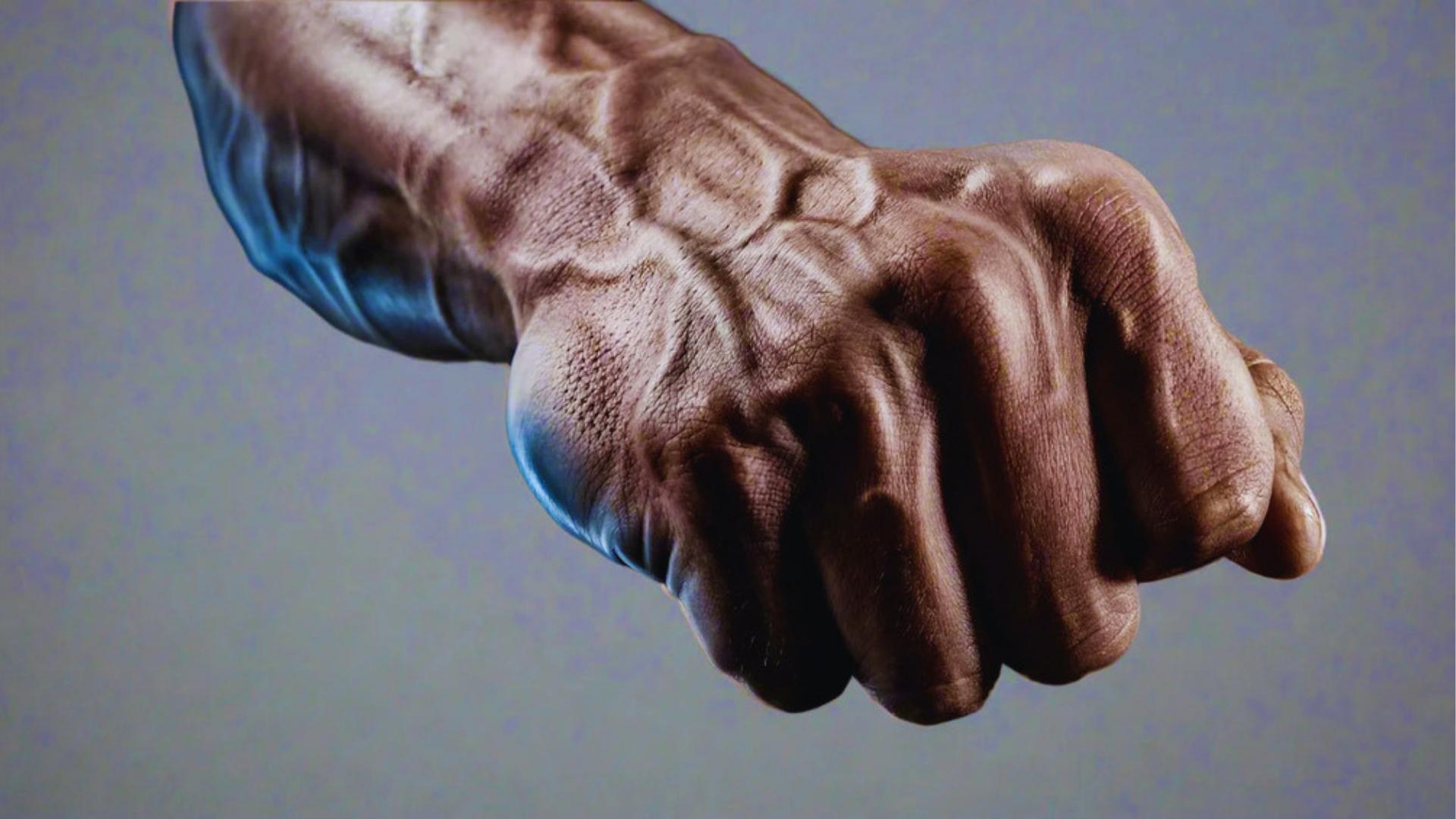 Highly detailed close-up of a muscular, veiny forearm and clenched fist flexed against a neutral gray studio background.
