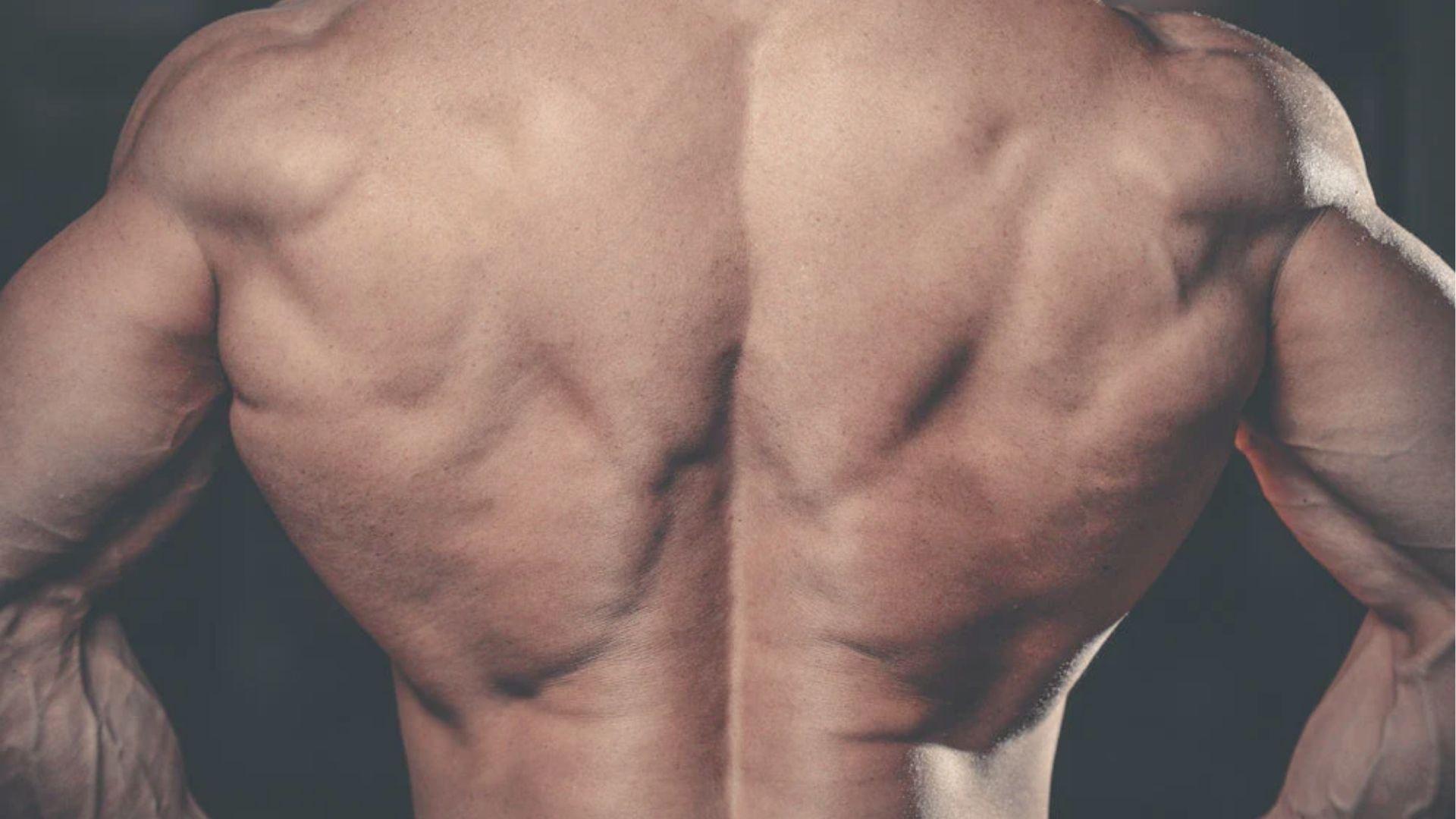 Defined upper back and shoulder muscles of a shirtless man against a dark backdrop.