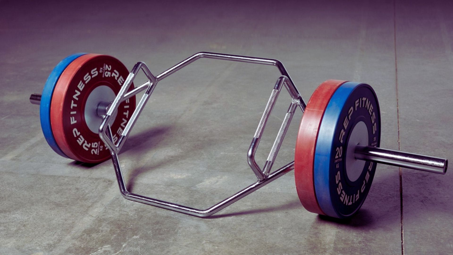 What the Fitness Community Says (Forum and Social Media Insights)