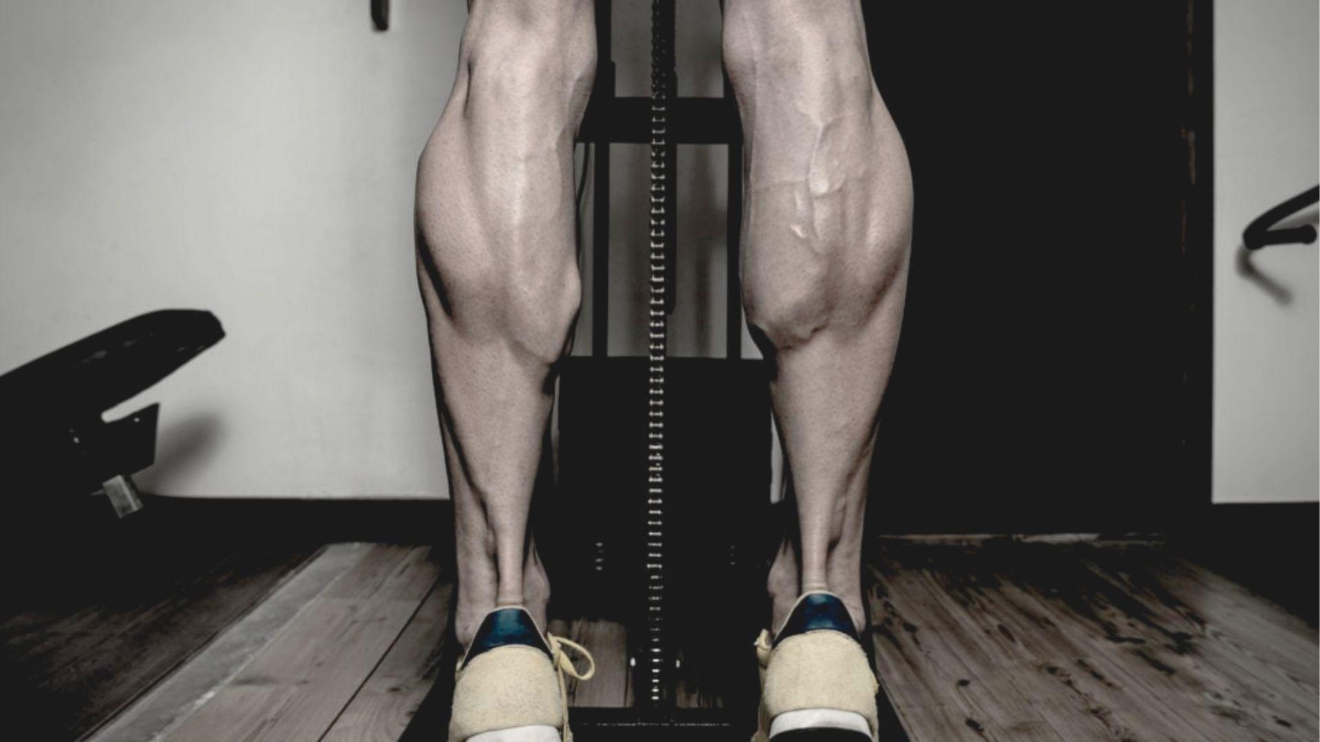 Close-up rear view of muscular calves and lower legs standing on a calf raise machine in a gym.