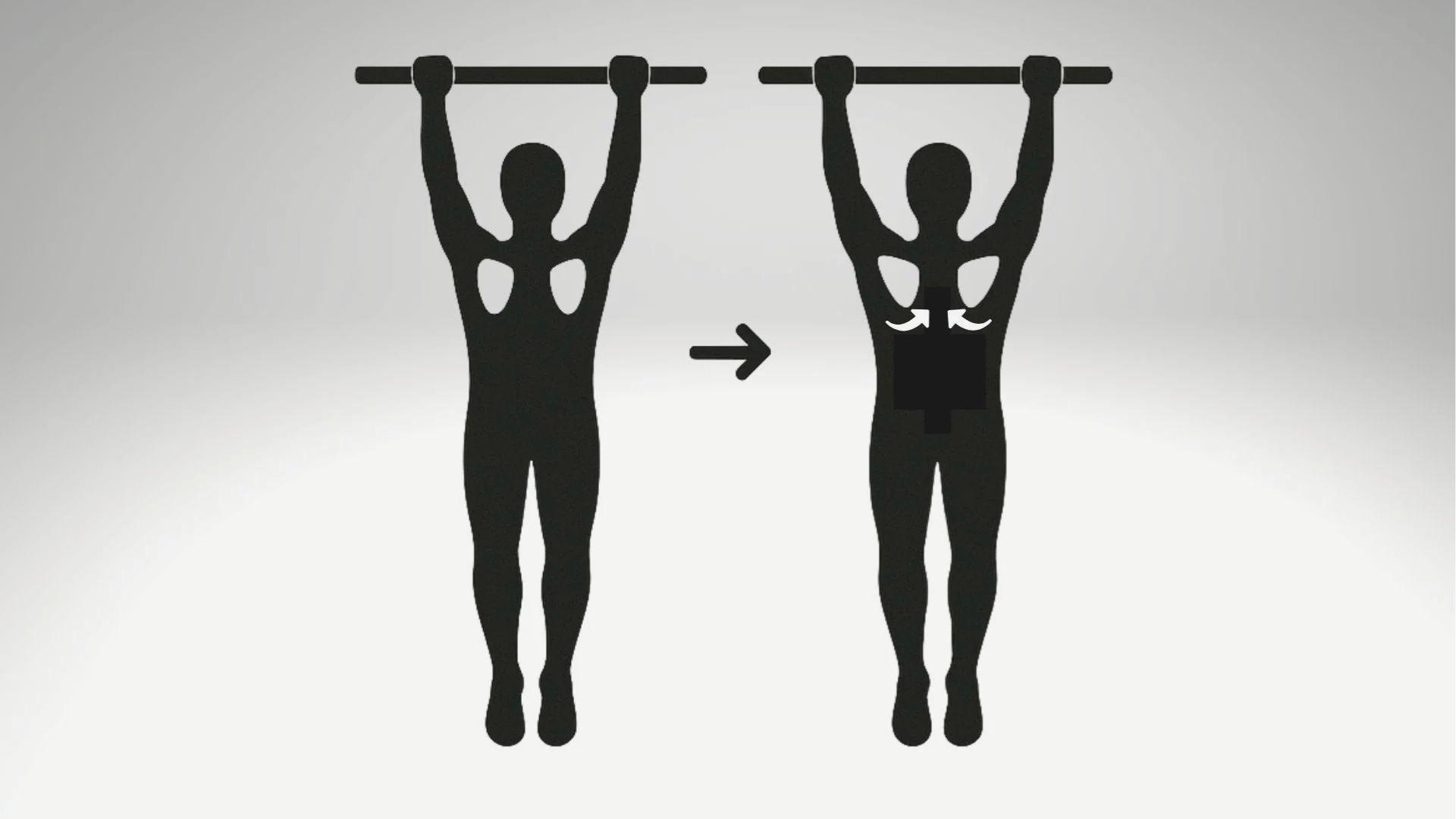 Silhouette diagram showing pull-up scapular engagement.