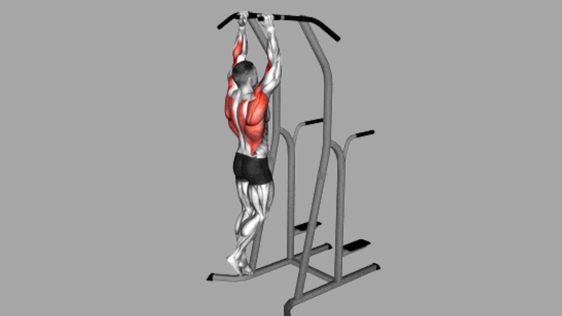Animated male figure demonstrating close-grip pull-up on power tower, back and biceps muscles highlighted red, gray background