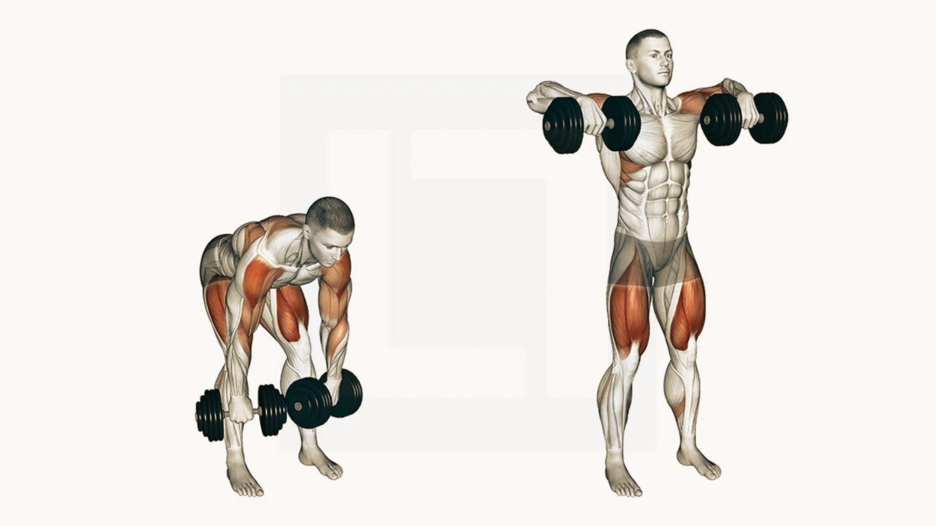 Two-panel dumbbell high pull exercise showing bent-over starting position and upright finish, shoulders and quadriceps muscles highlighted red