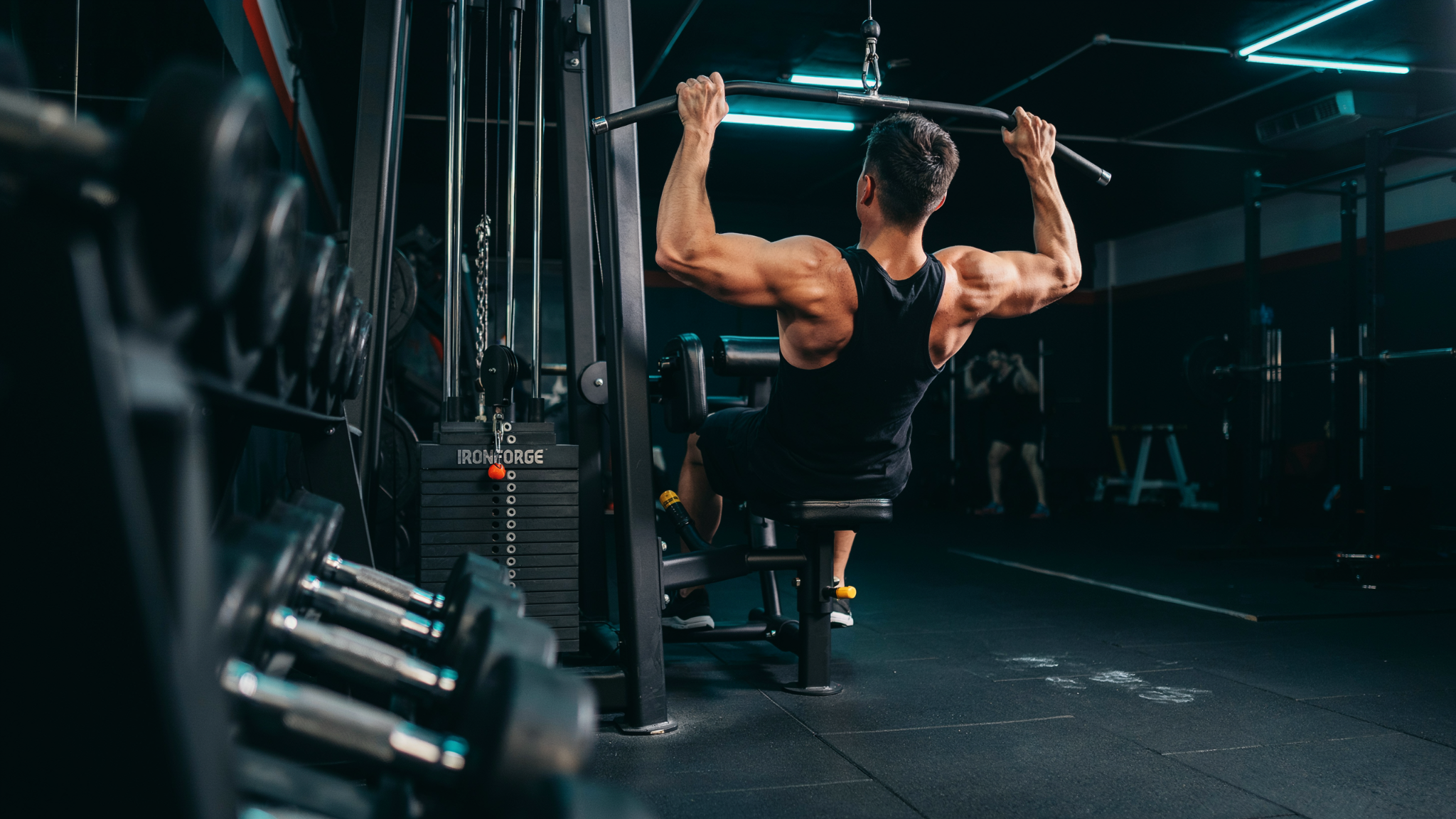 Wide-grip lat pulldown targeting outer lats for back width.