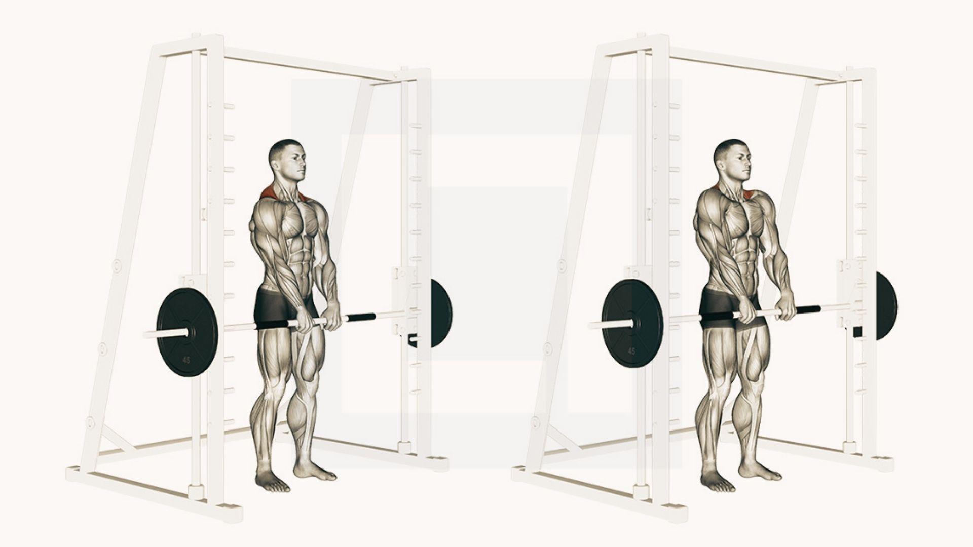 Two-panel Smith machine shrug demonstration showing start and contracted position, trapezius muscles highlighted in red, white background